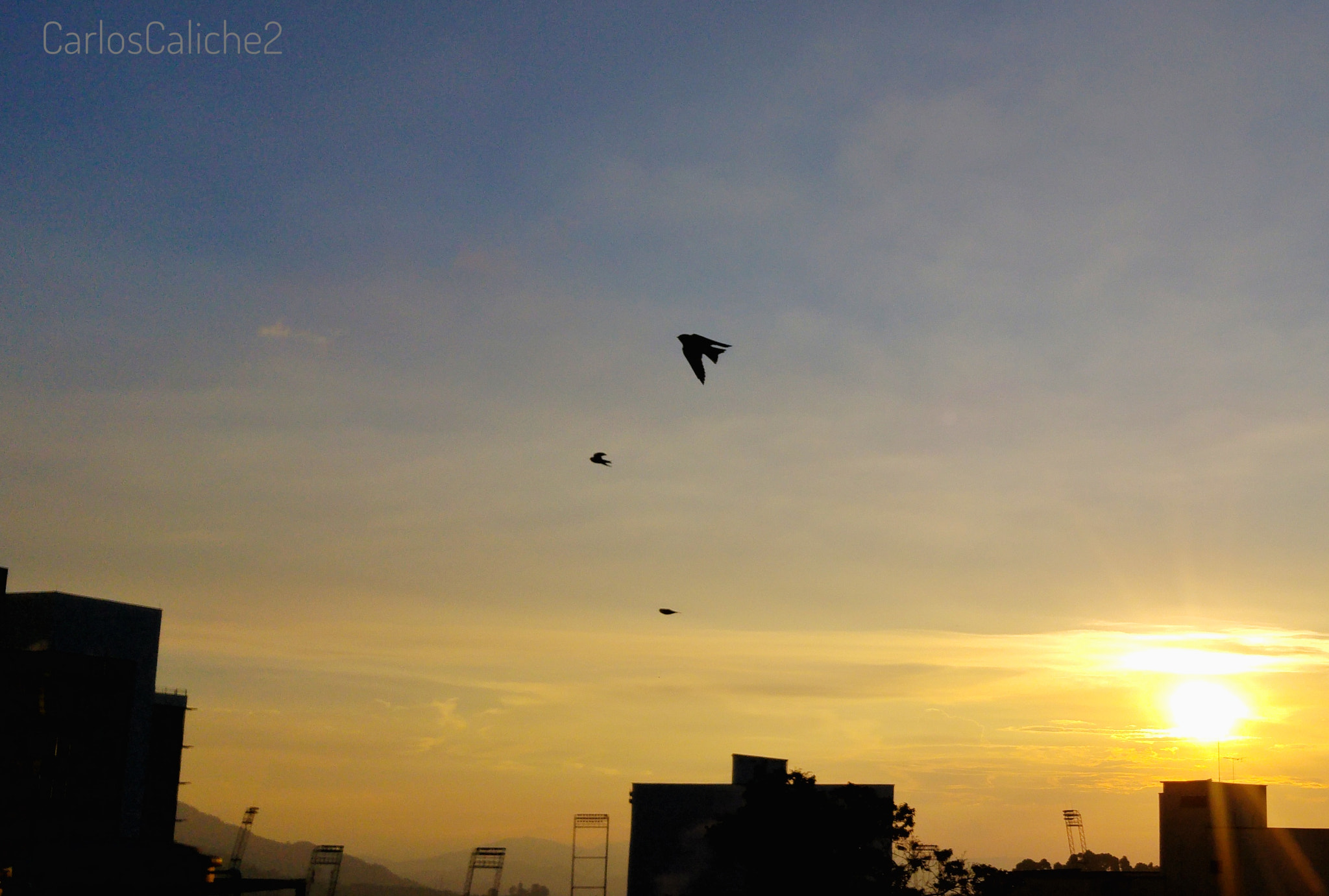 LG H815P sample photo. Hora de volar / time to fly  photography