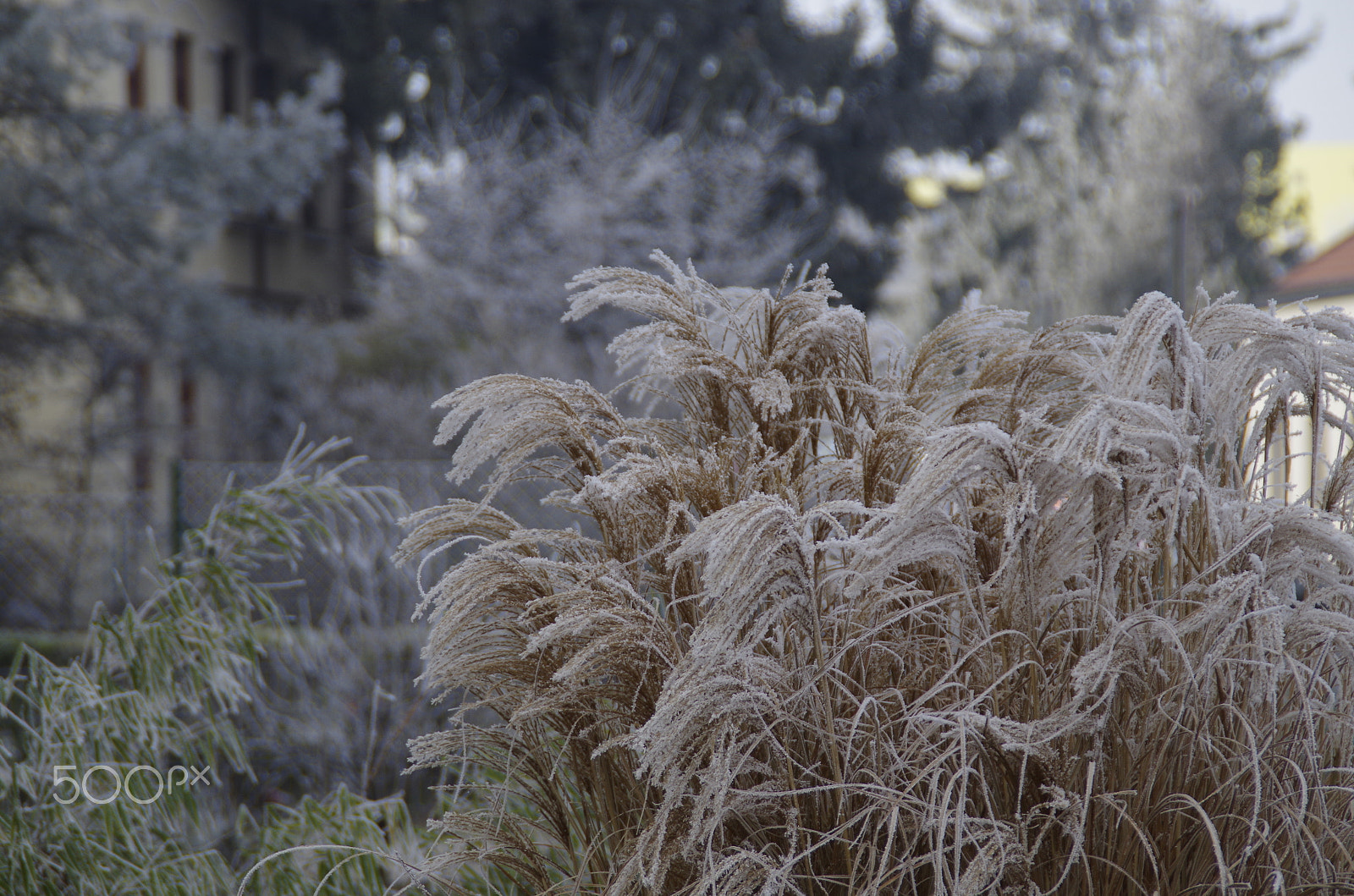 Pentax K-30 + Tamron AF 18-200mm F3.5-6.3 XR Di II LD Aspherical (IF) Macro sample photo. Wien heute photography