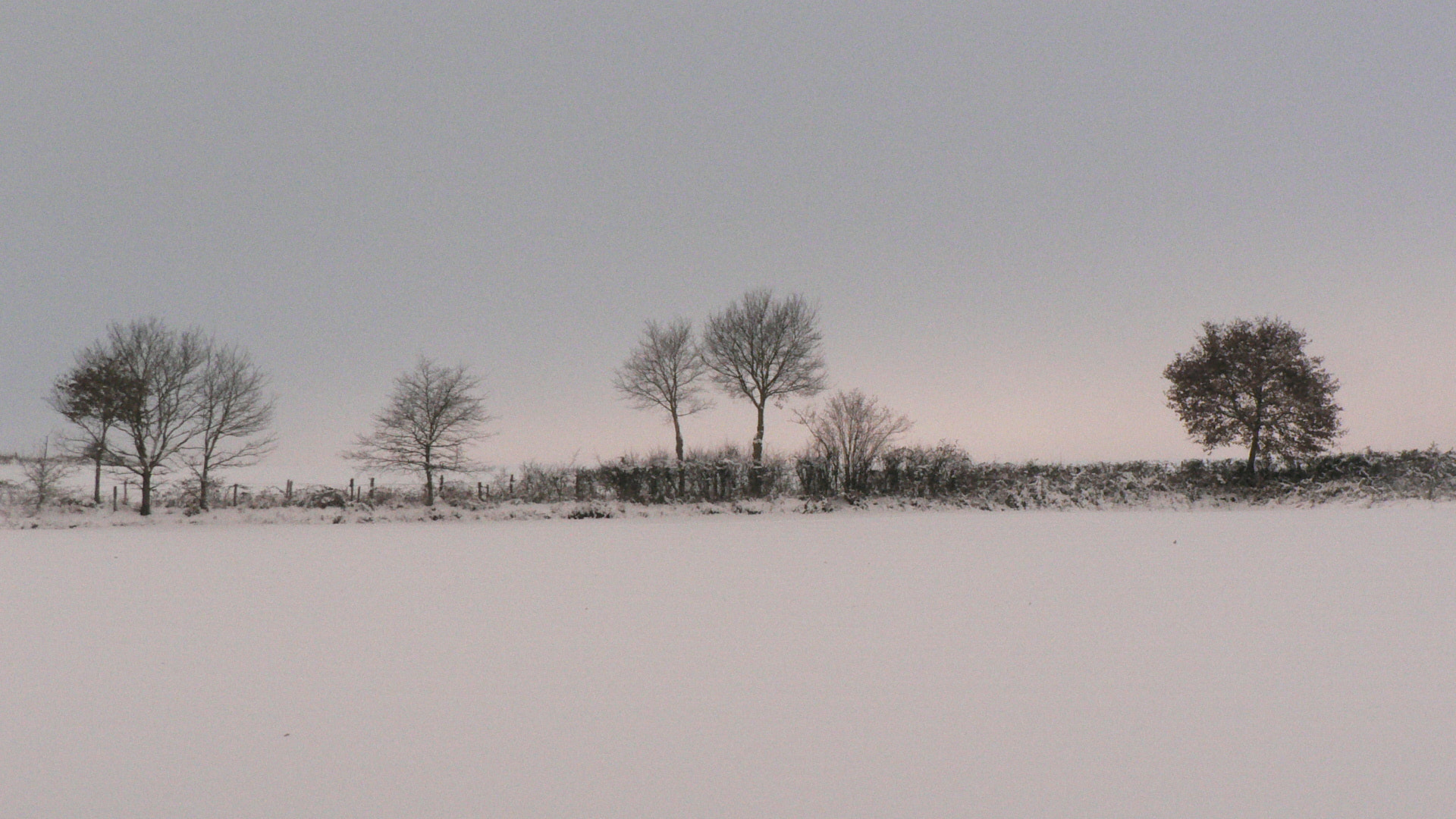 Panasonic DMC-FZ5 sample photo. Winter light photography