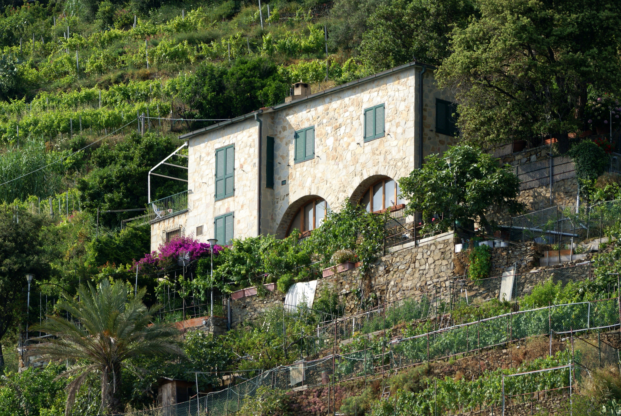 Sony Alpha DSLR-A300 + Sony 70-400mm F4-5.6 G SSM sample photo. Cinque terre photography