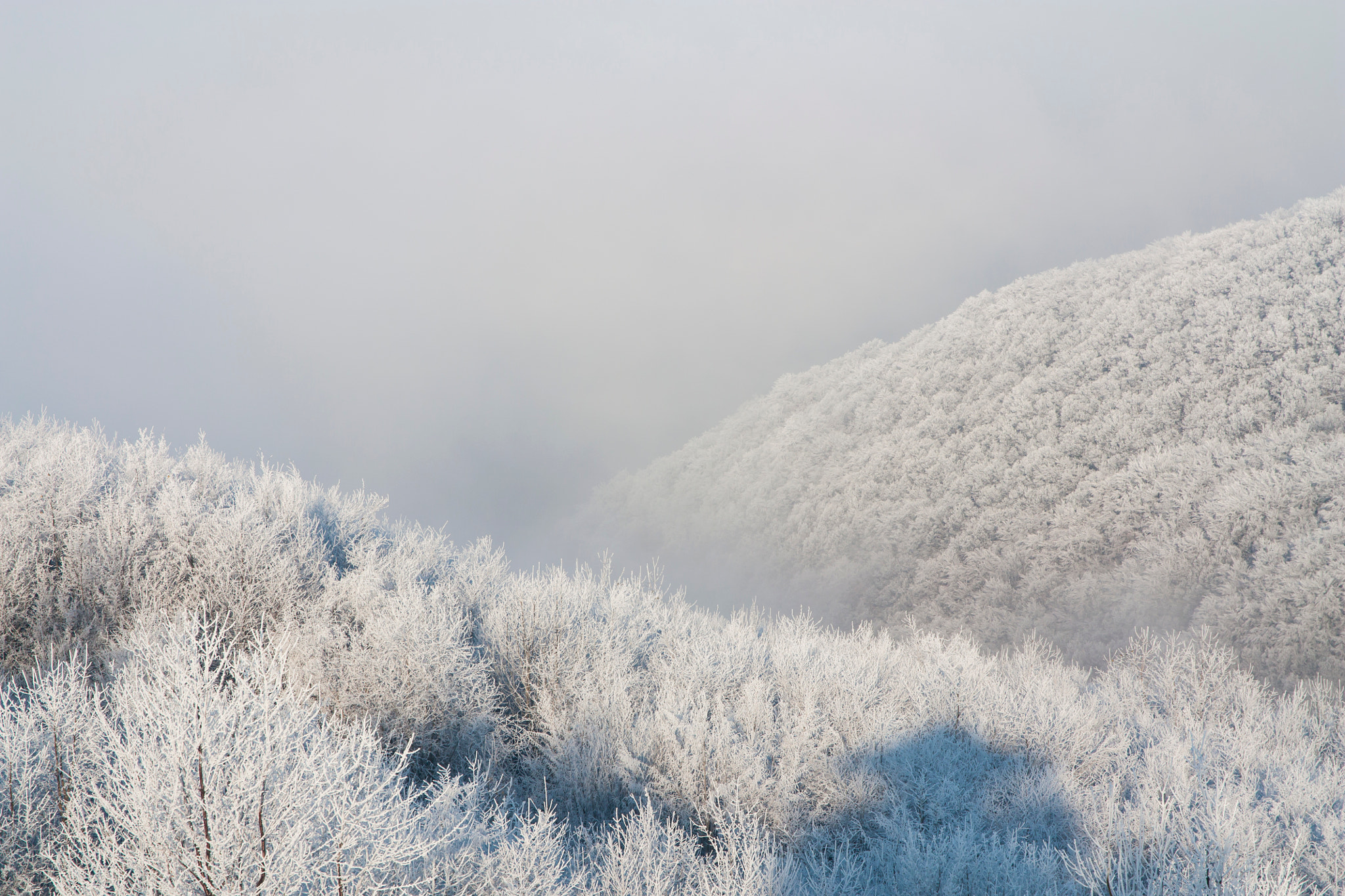 Sigma 17-70mm F2.8-4 DC Macro OS HSM sample photo. Wintertime photography
