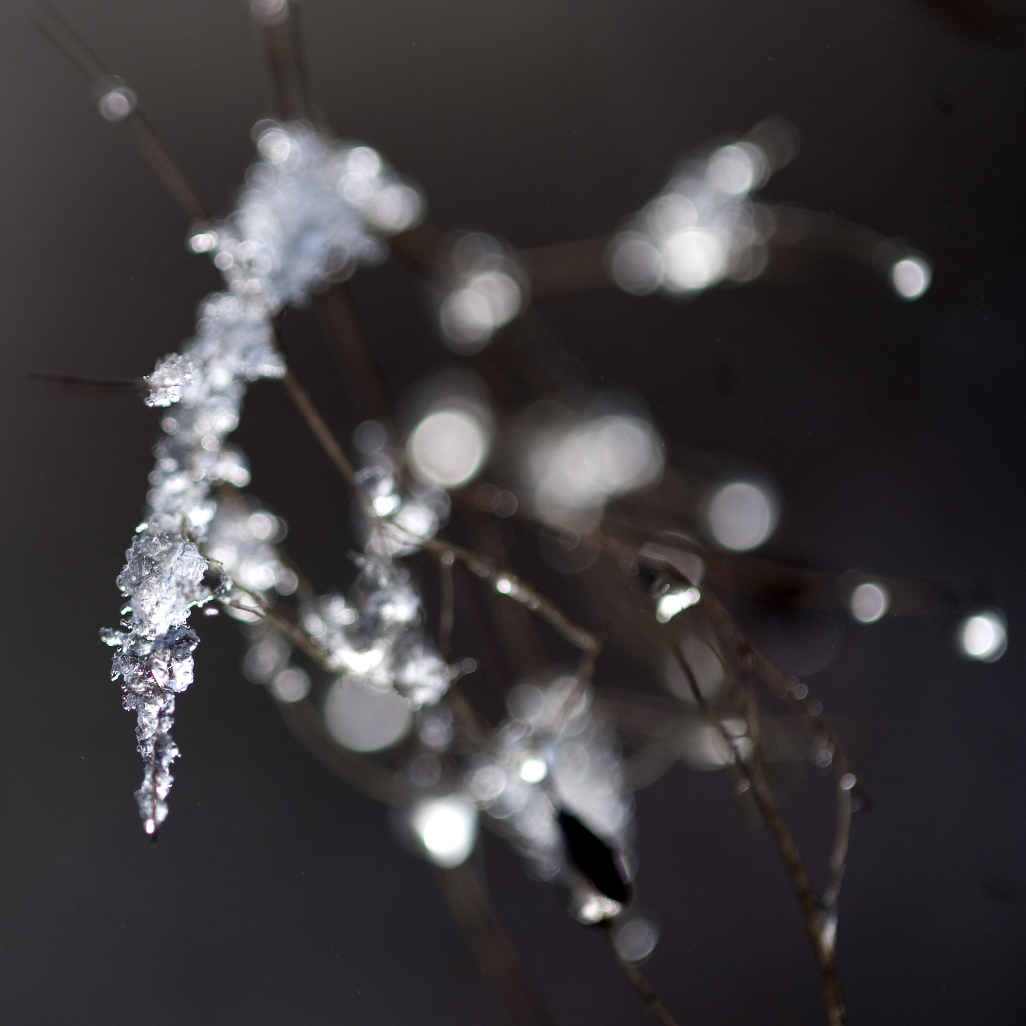 Nikon D3 sample photo. Frozen4 photography