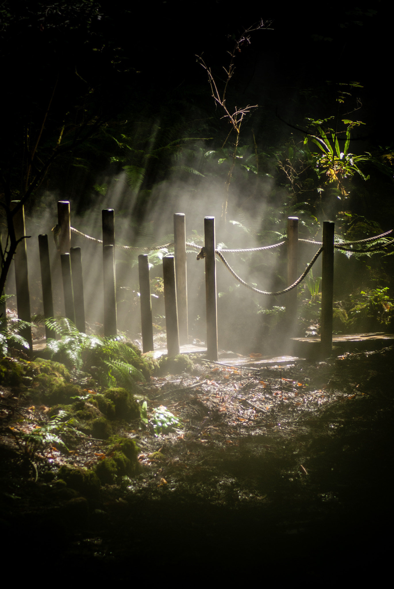 Guider vers le changement...