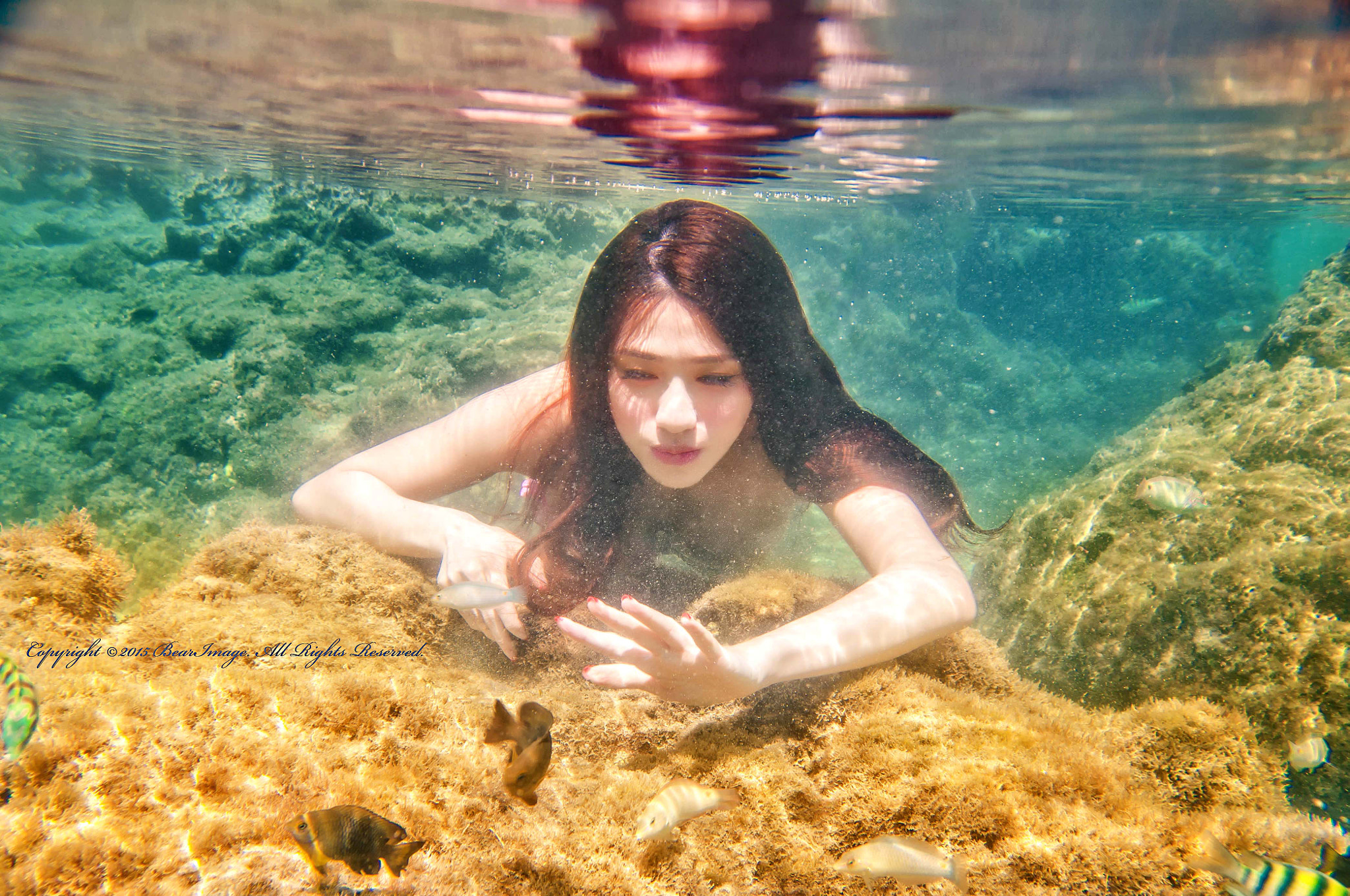 Sigma 17-70mm F2.8-4 DC Macro OS HSM sample photo. Underwater photography