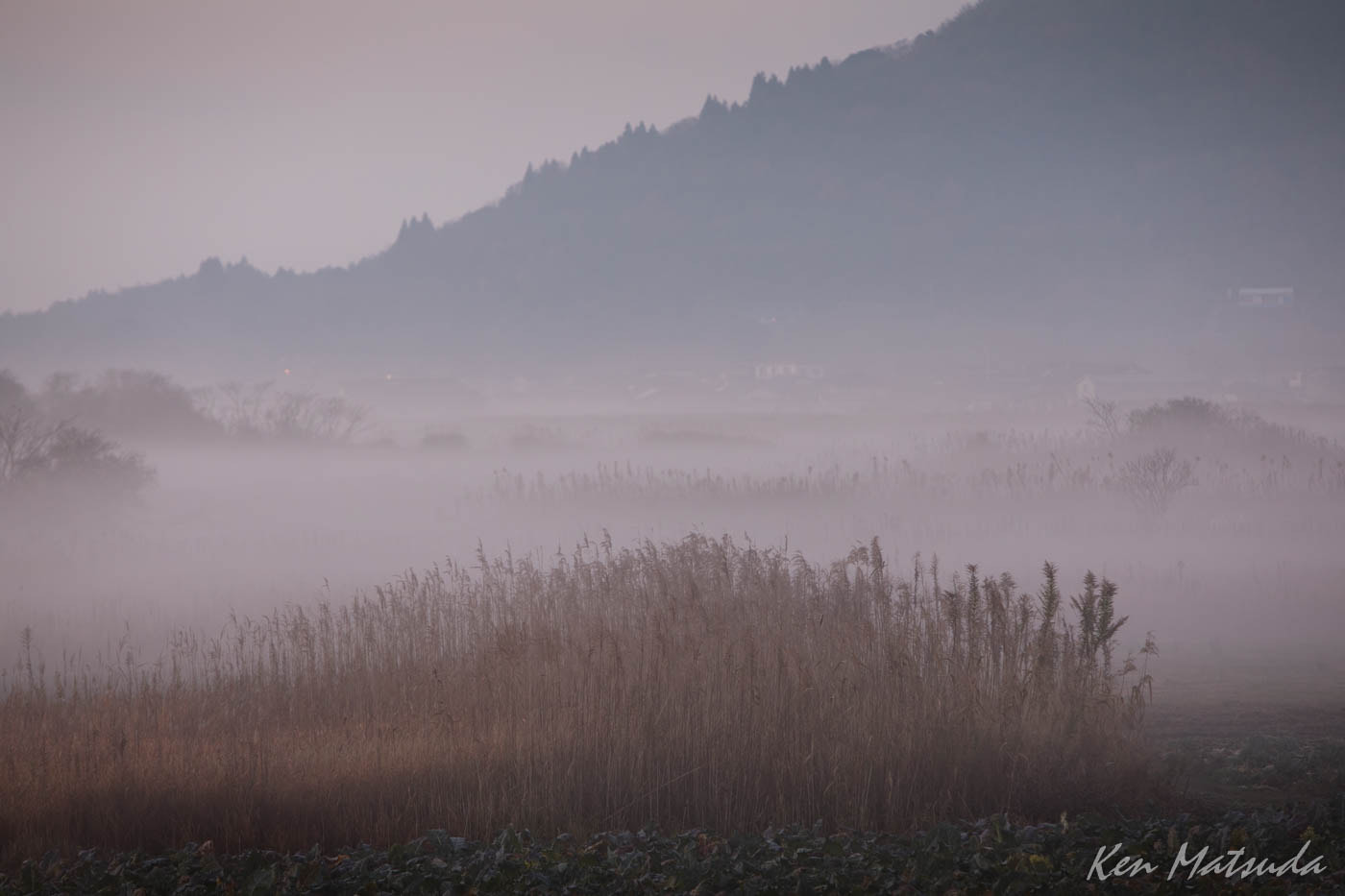 Canon EF 70-200mm F2.8L IS USM sample photo. Evening mist photography