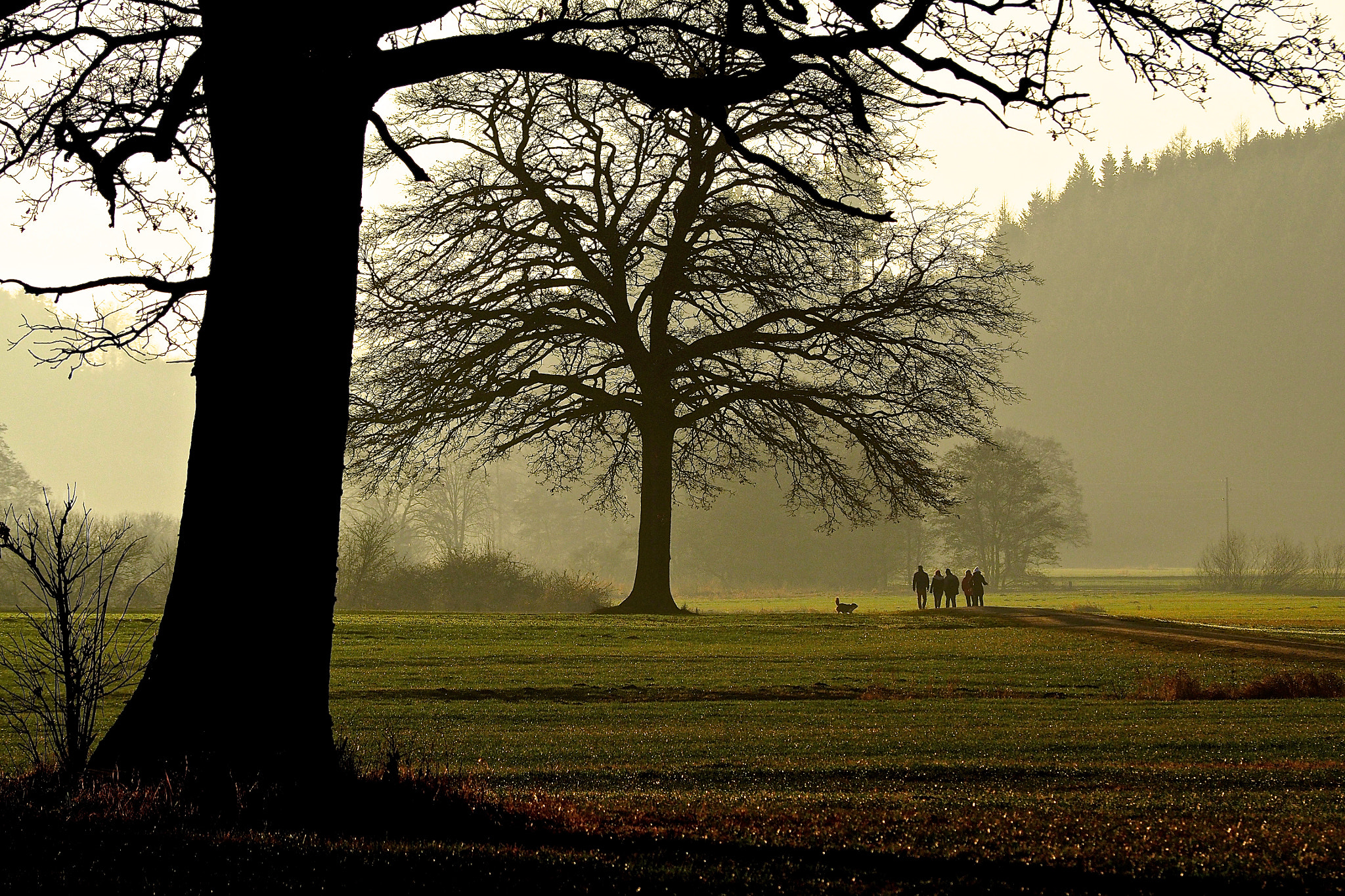 Olympus OM-D E-M5 II sample photo. Winter walk bavaria photography