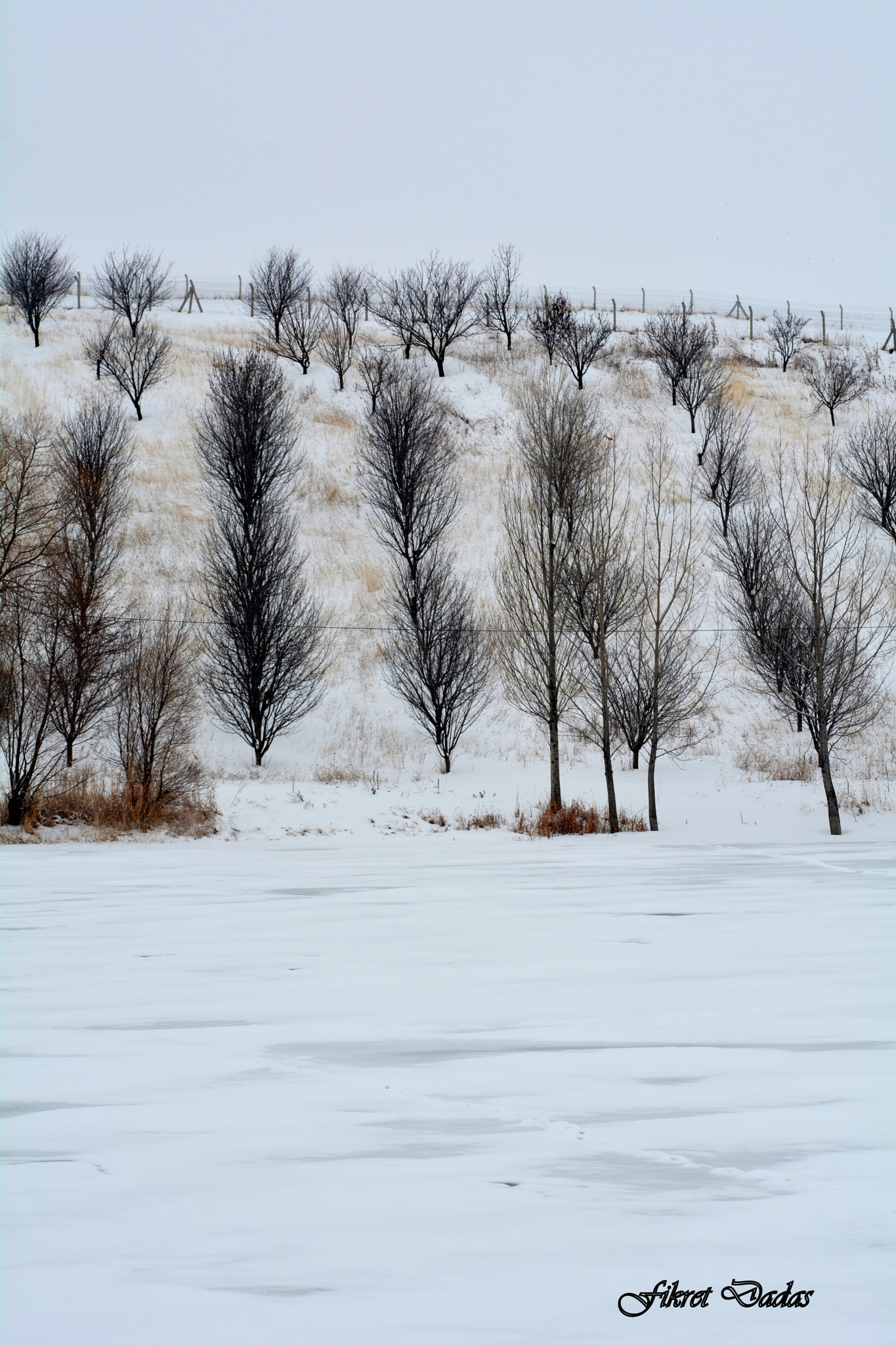 Nikon D7100 + AF Nikkor 70-210mm f/4-5.6 sample photo. Meyve bahçesi kar photography