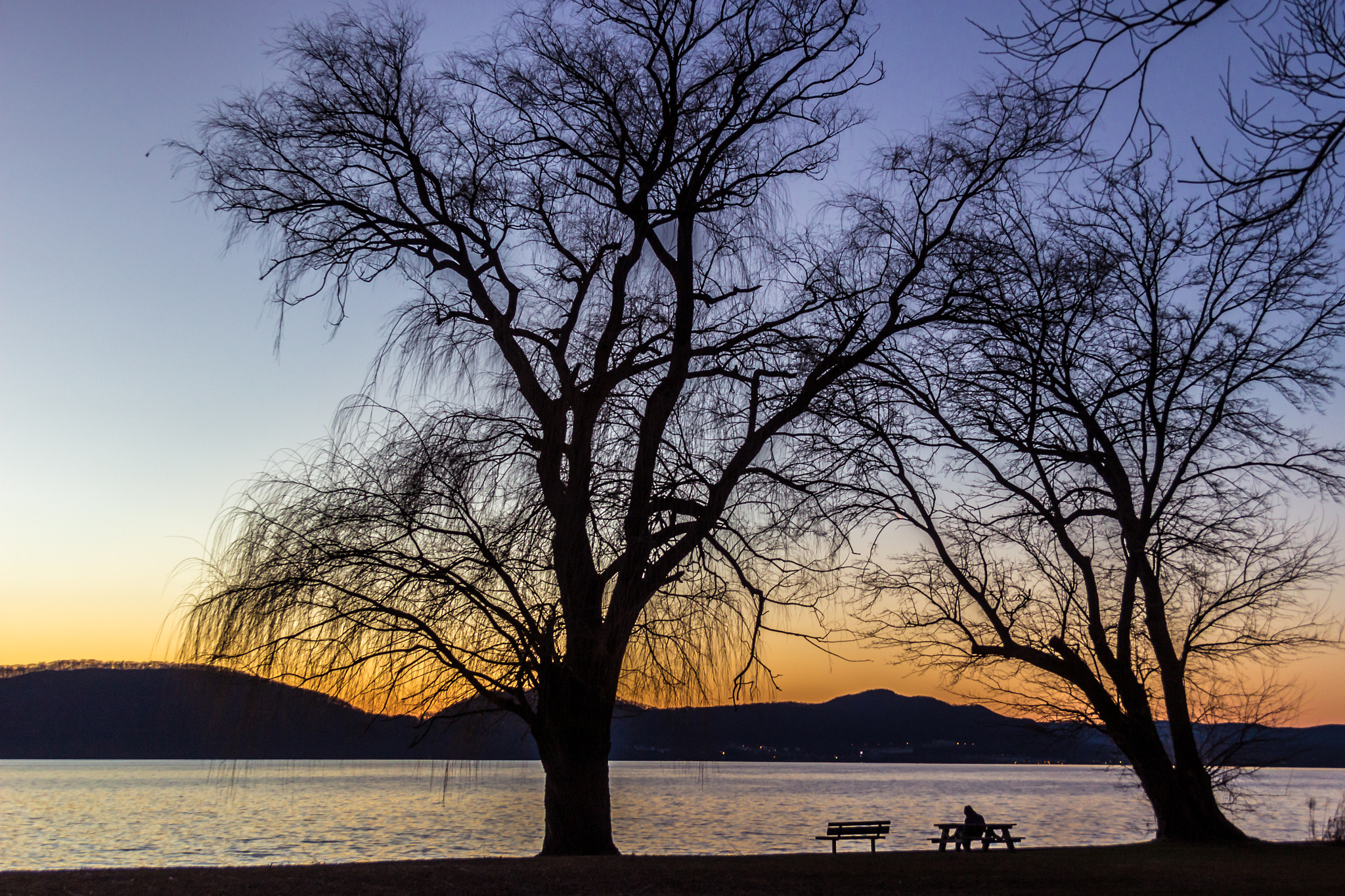 Canon EF-S 18-55mm F3.5-5.6 II sample photo. Best seat in the house photography