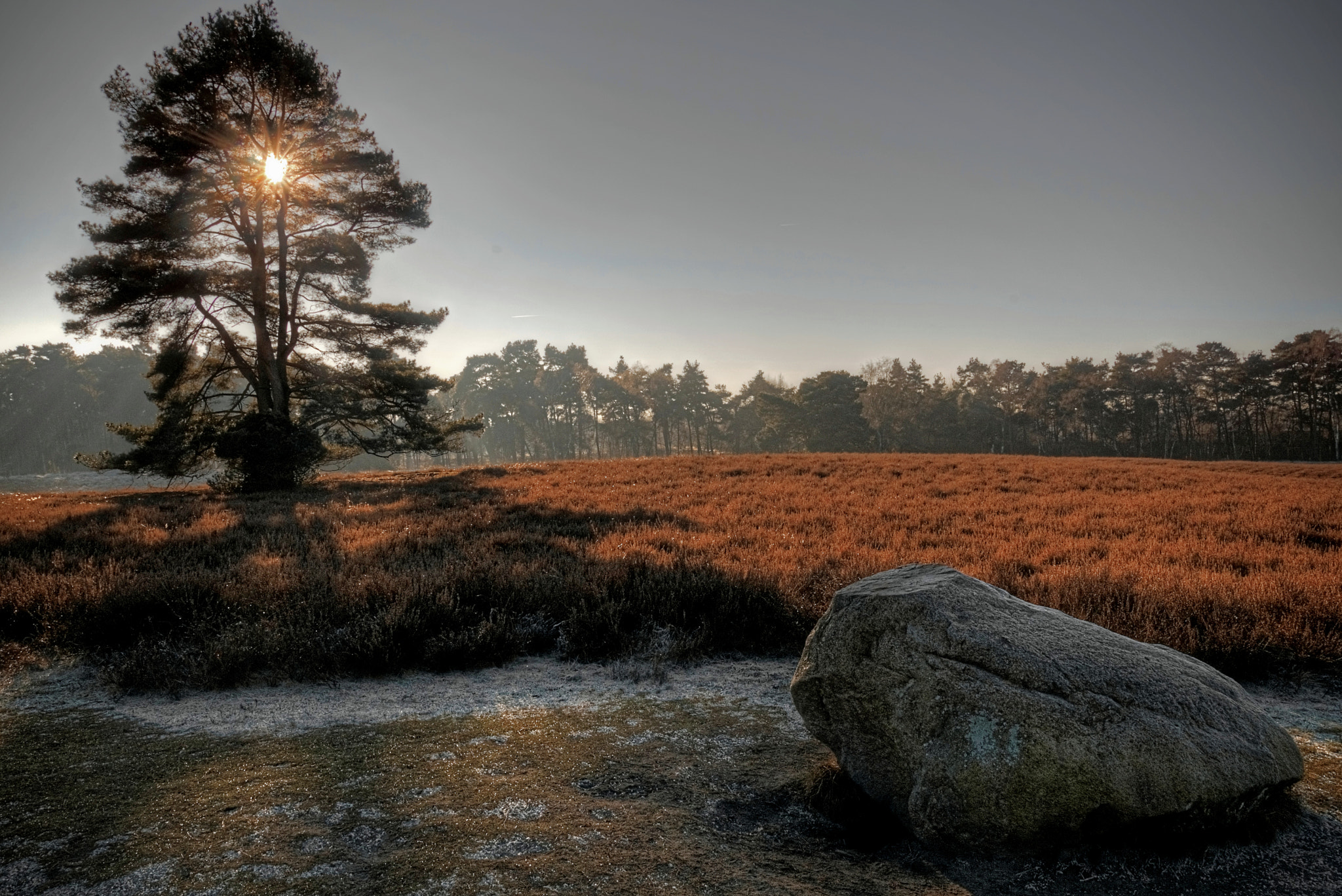 Sony DT 16-105mm F3.5-5.6 sample photo. Mystic heath photography