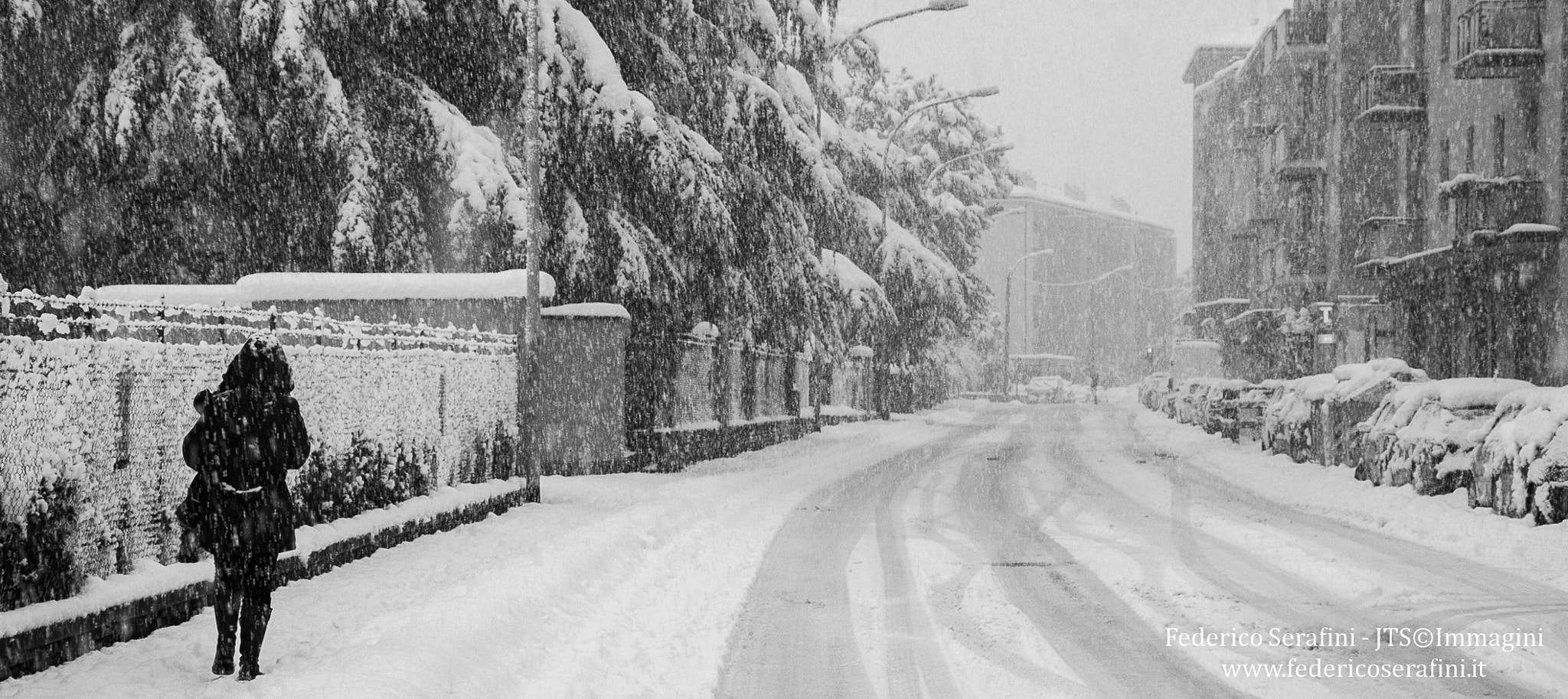 Nikon D3S sample photo. Through the snow photography