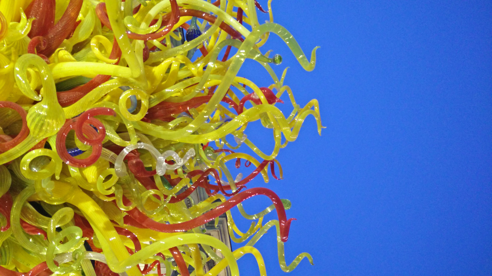 OnePlus ONE sample photo. Tentacles photography