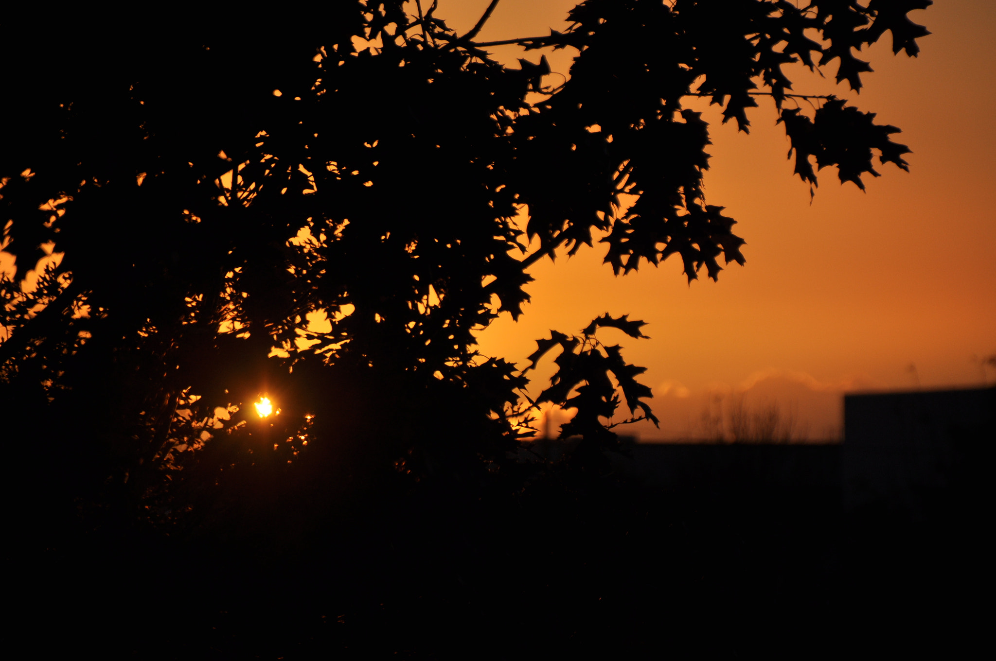 Nikon D5000 sample photo. I miss you... photography