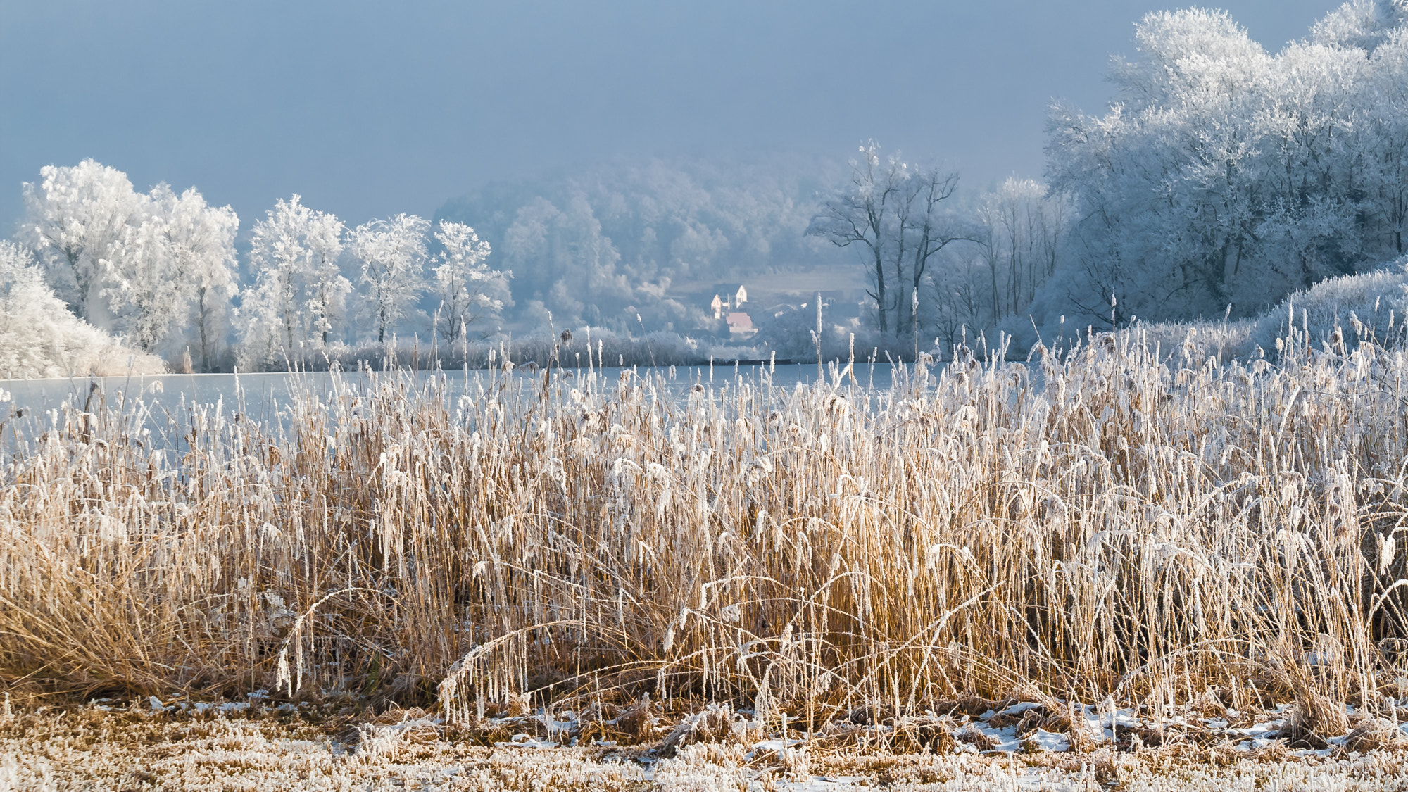 KONICA MINOLTA DYNAX 5D sample photo. Brauiweiher photography