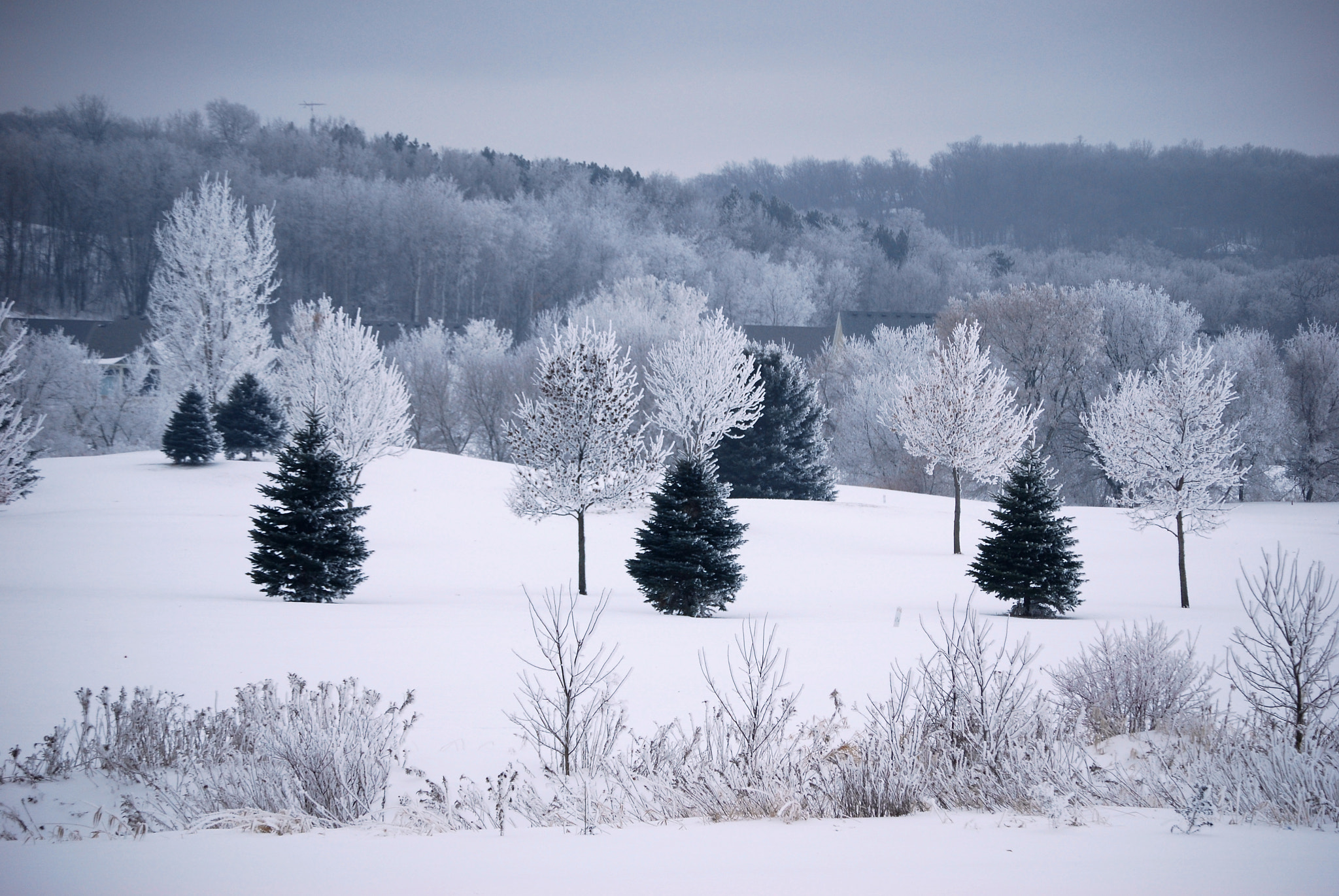 Nikon D60 sample photo. Ice! photography