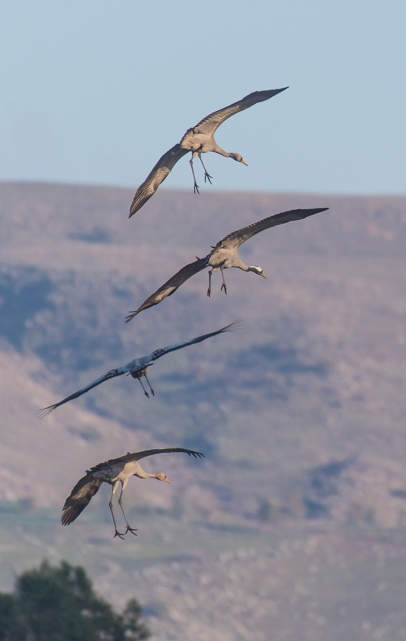 Nikon AF-S Nikkor 200-500mm F5.6E ED VR sample photo. Multistory building photography