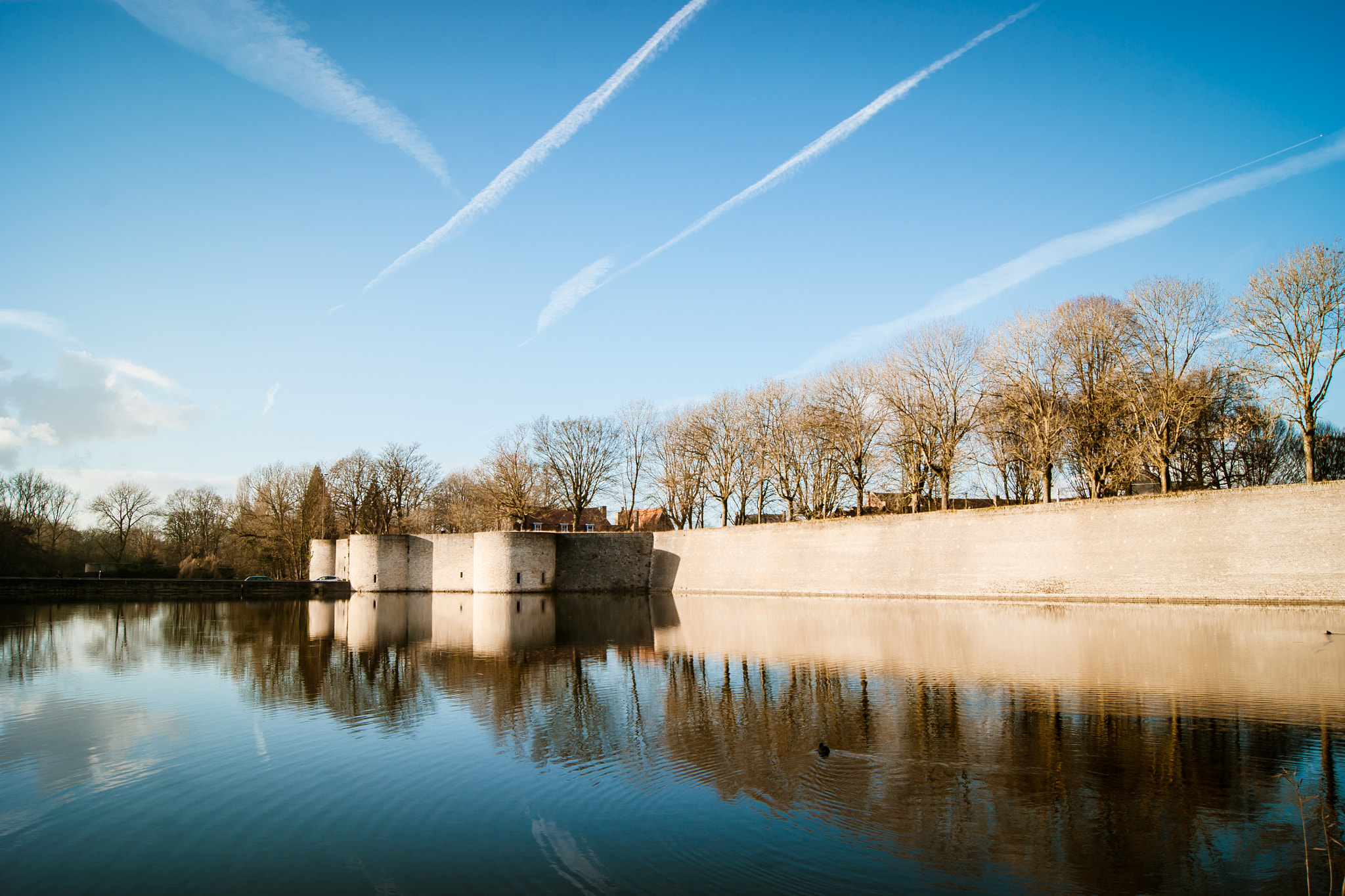 Sony Alpha DSLR-A390 + Sony DT 18-55mm F3.5-5.6 SAM sample photo. Rijselpoort photography