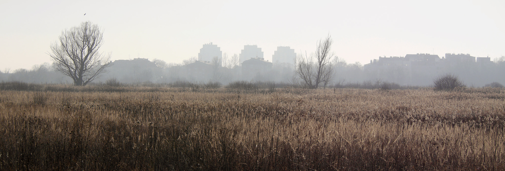 Panasonic Lumix DMC-GH3 sample photo. Not really fantastic view photography