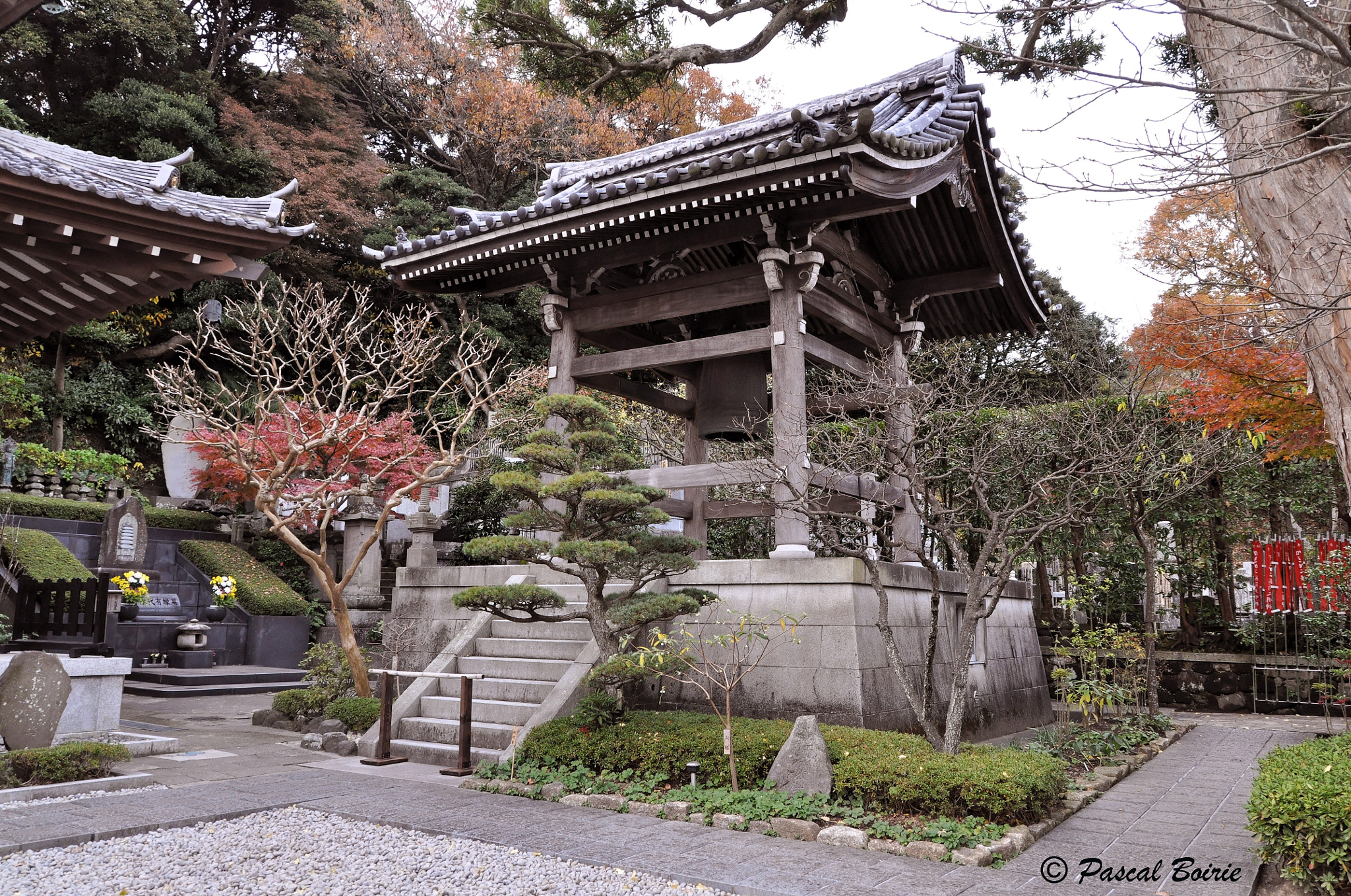 Sigma 18-250mm F3.5-6.3 DC OS HSM sample photo. Japanese temple hasedera photography