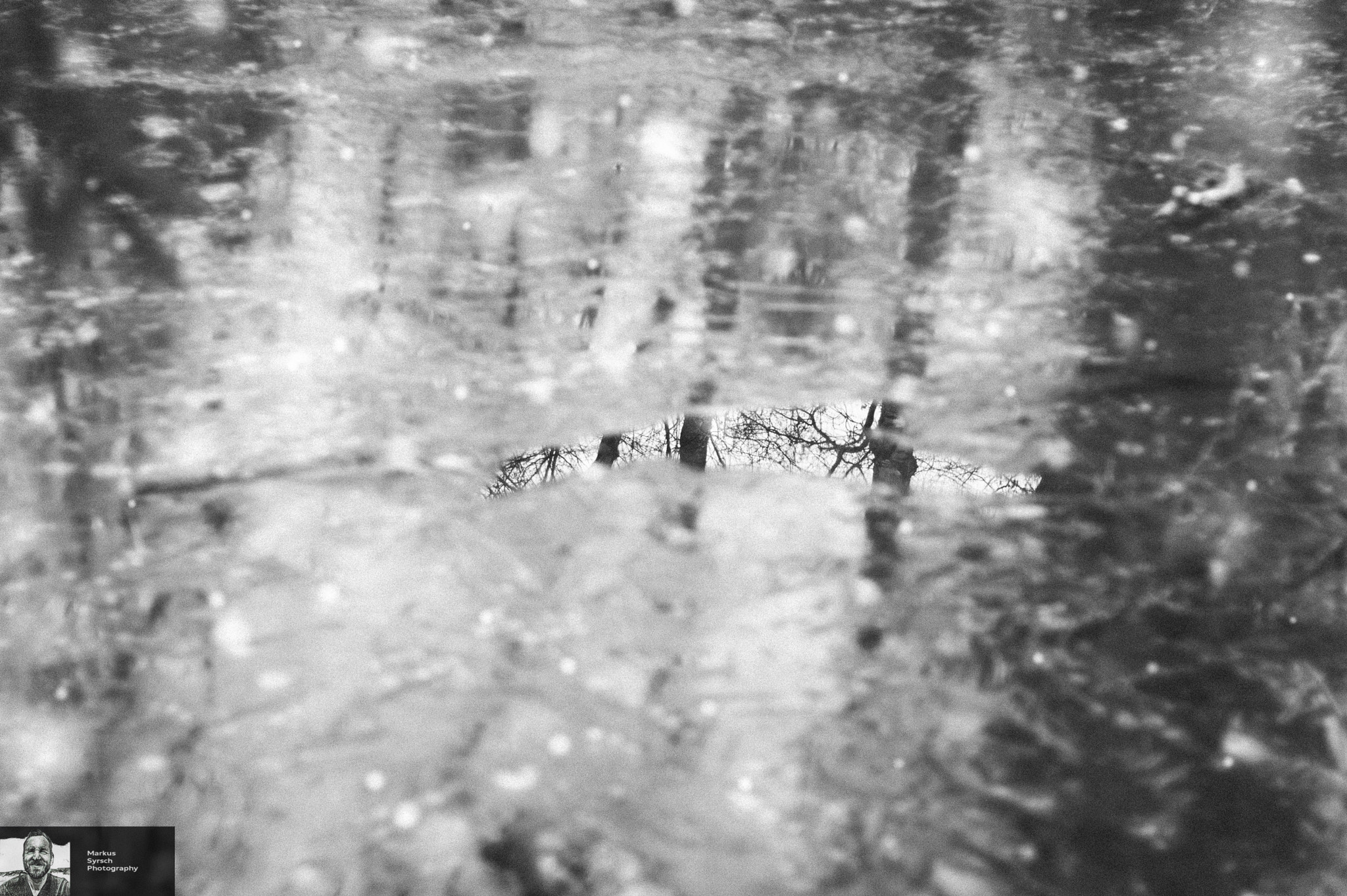 Minolta AF 50mm F1.7 sample photo. Broken ice photography