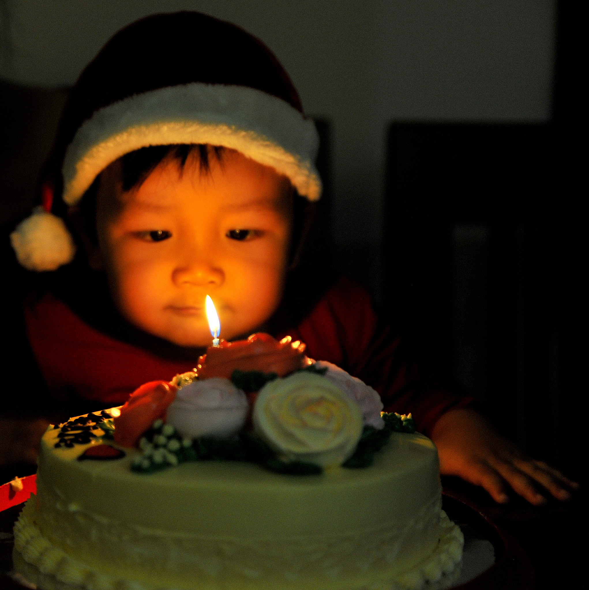 Nikon D3 sample photo. 专注 photography
