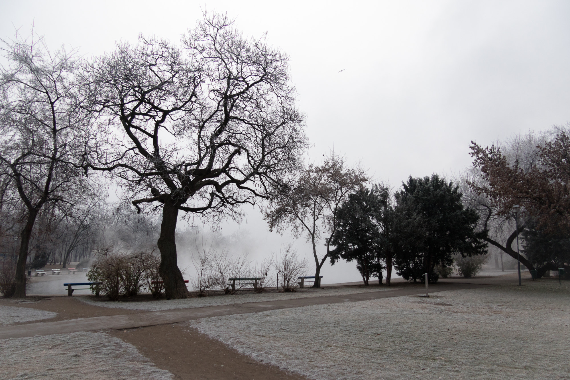 Canon EOS 7D Mark II sample photo. Winter landscape at a park in the heart of budapest photography