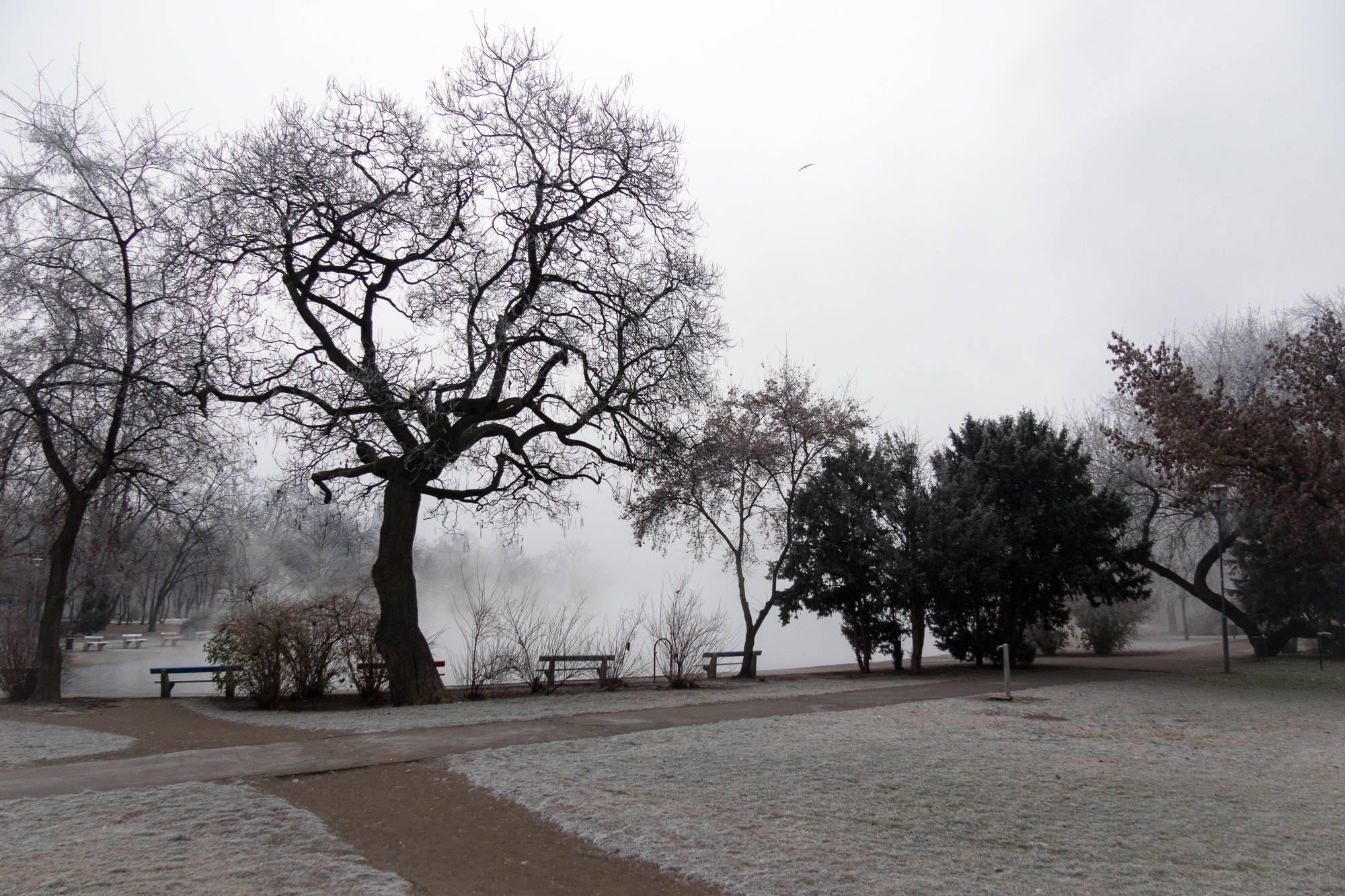 Canon EF-S 17-85mm F4-5.6 IS USM sample photo. Winter landscape at a park in the heart of budapest photography