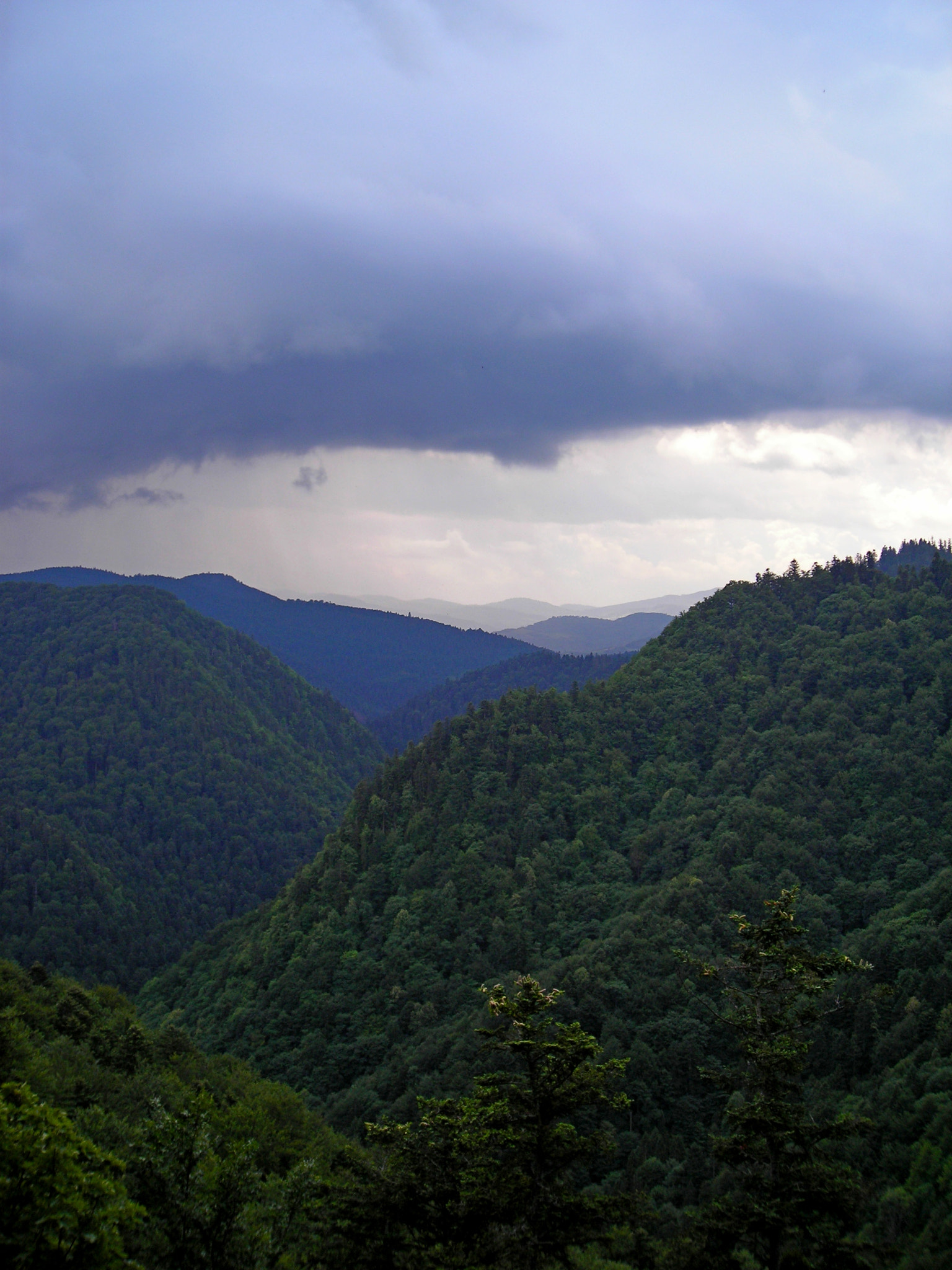 Nikon COOLPIX L2 sample photo. Pieniny photography