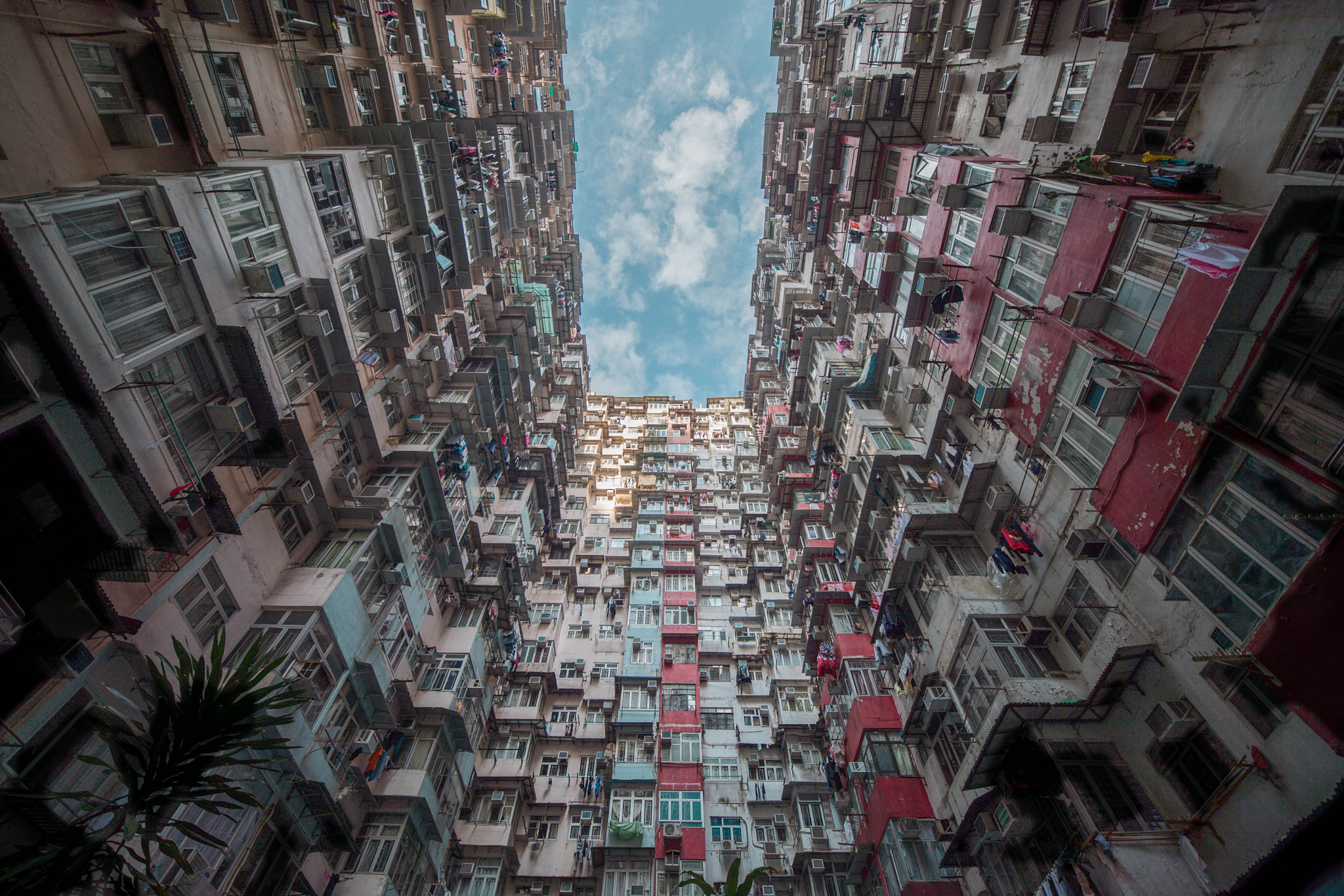 Nikon D5 sample photo. Hongkong photography