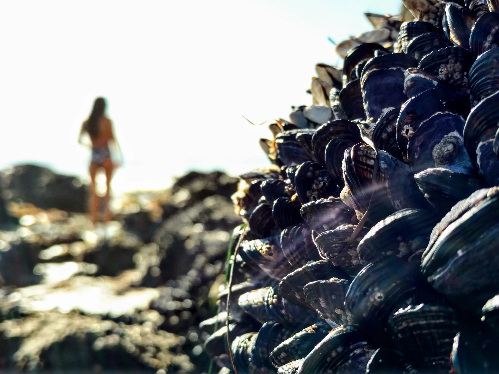 Motorola Moto X Pure Edition sample photo. Sea photography