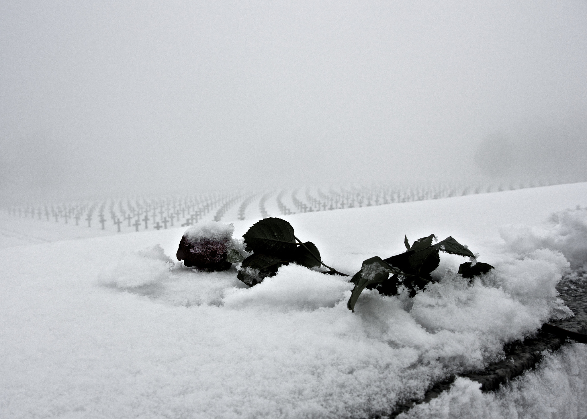 Nikon 1 Nikkor VR 10-30mm F3.5-5.6 sample photo. Icecold! photography