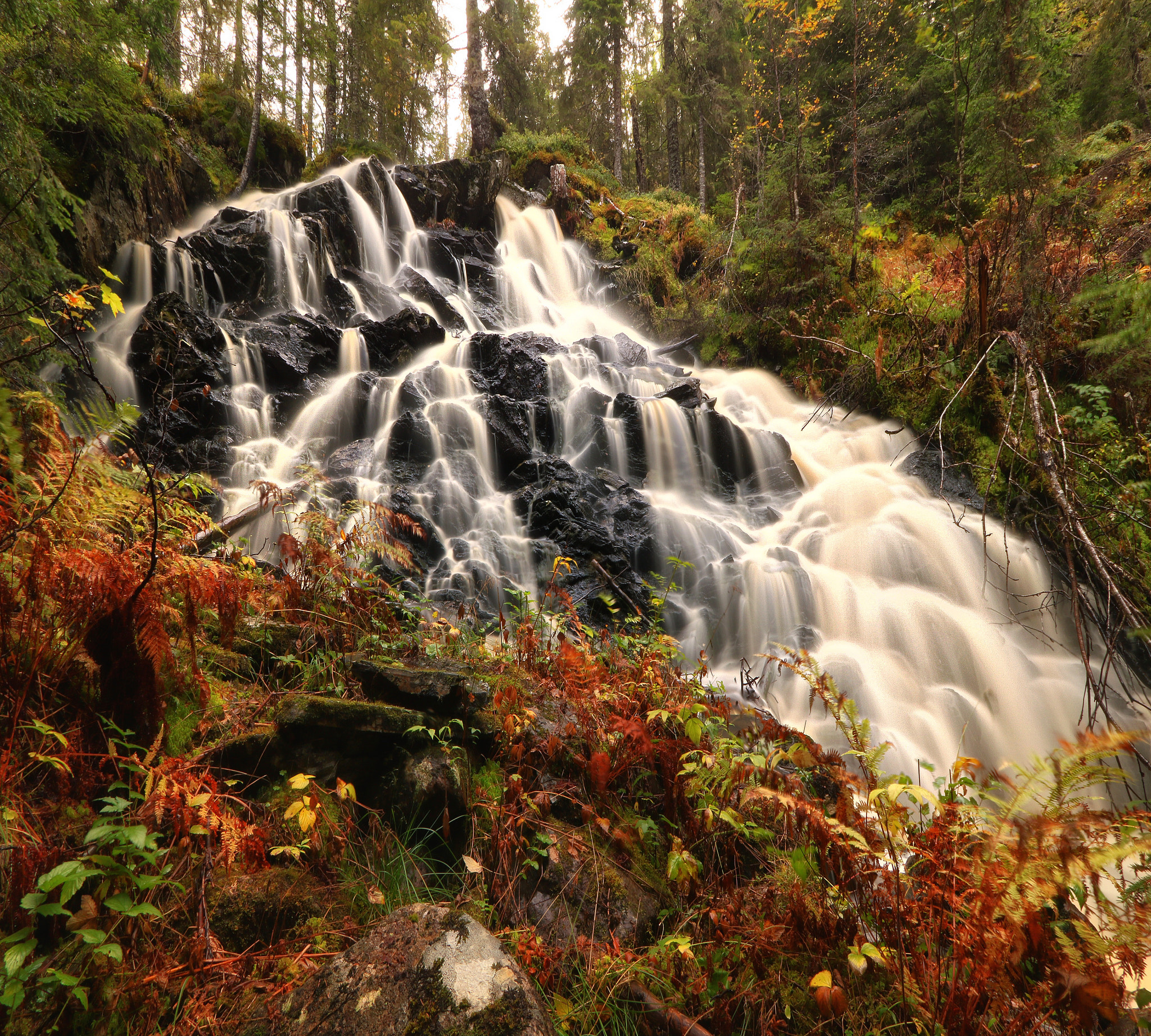 Canon EOS 760D (EOS Rebel T6s / EOS 8000D) sample photo. Autumn waterfall photography