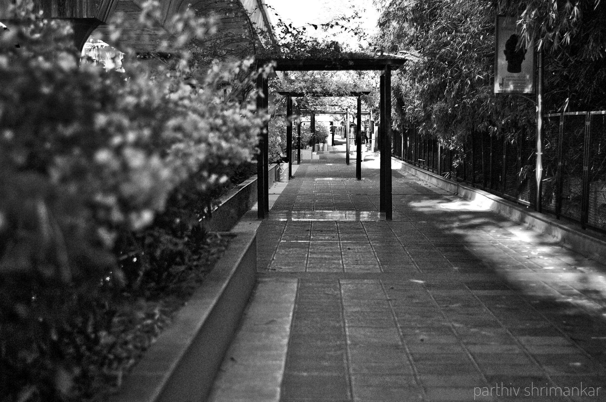 50.0mm F1.8 sample photo. Focused photography