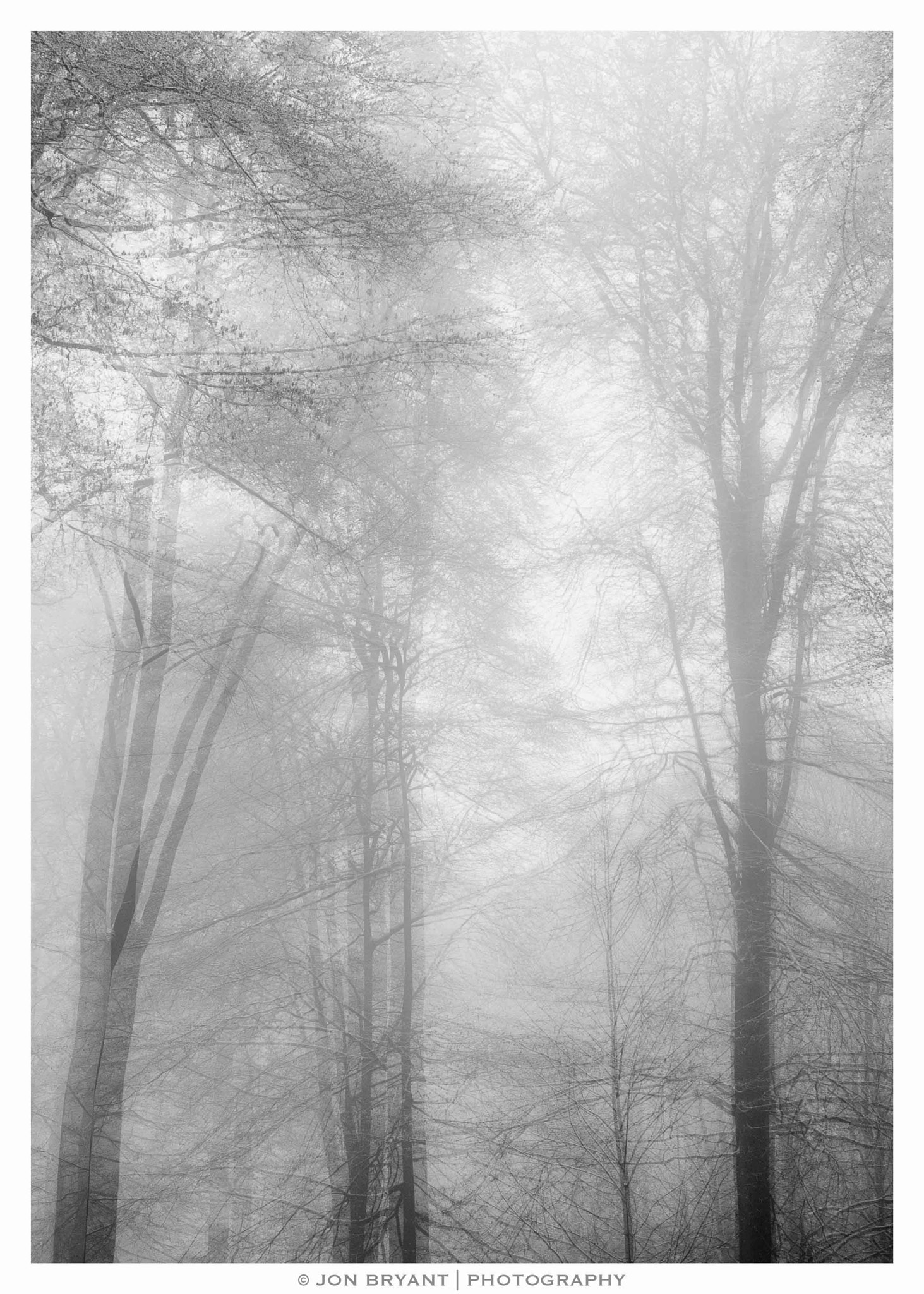 Panasonic Lumix G X Vario 35-100mm F2.8 OIS sample photo. Blurred lines between snow and fog photography