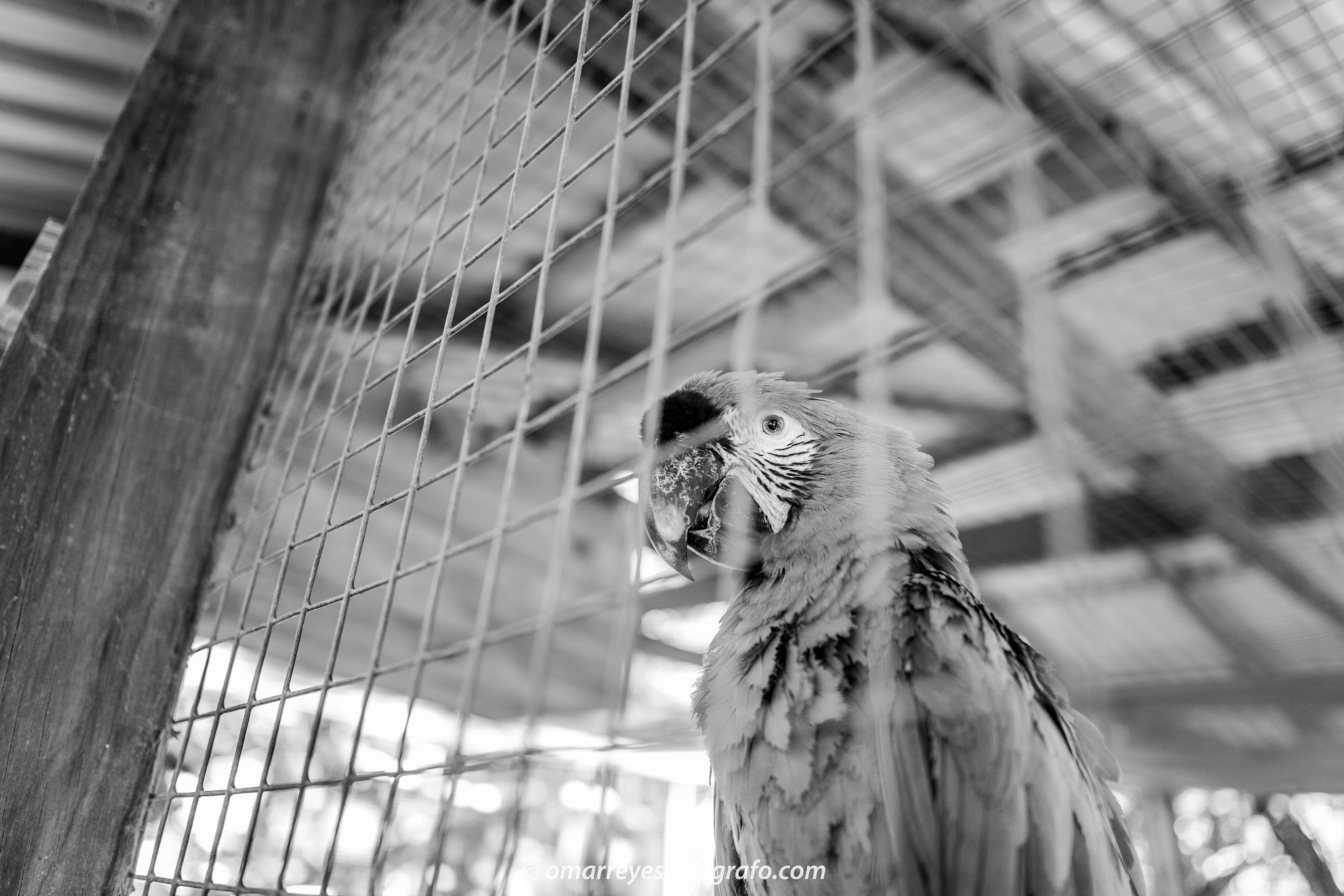 Sigma 24-35mm F2 DG HSM Art sample photo. Bird's eye photography