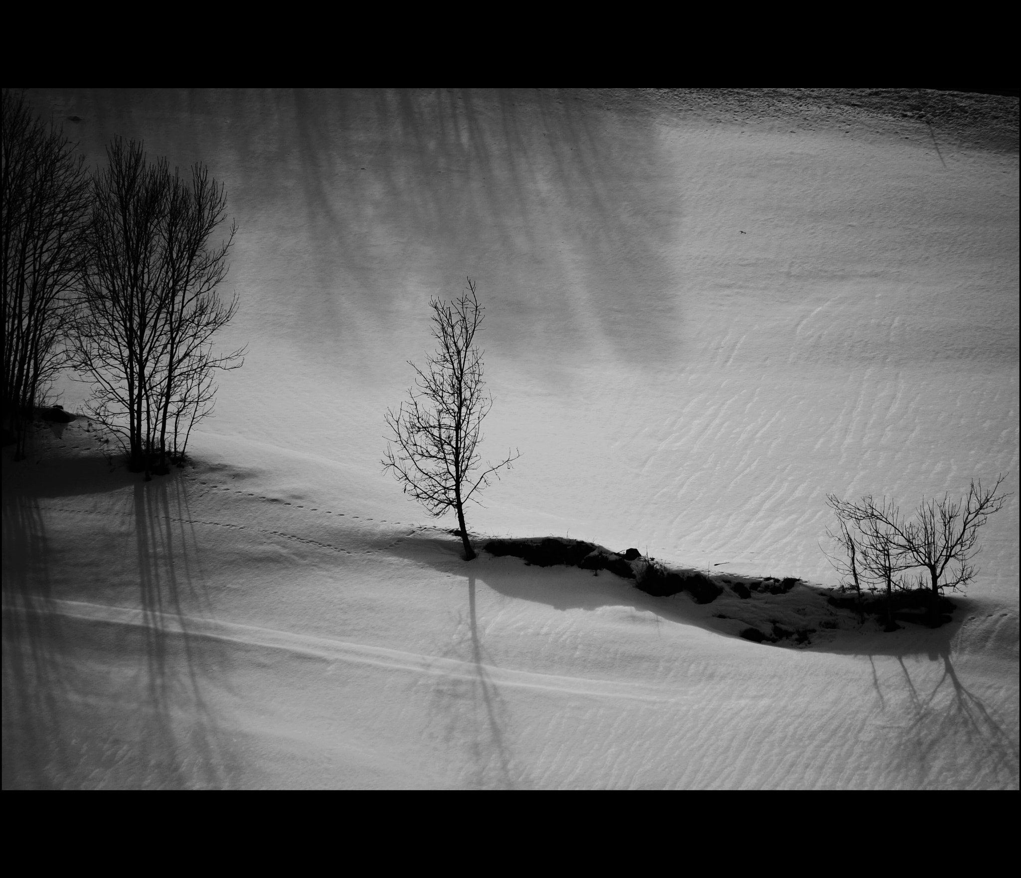Sigma 70-300mm F4-5.6 APO DG Macro sample photo. Winterschatten photography