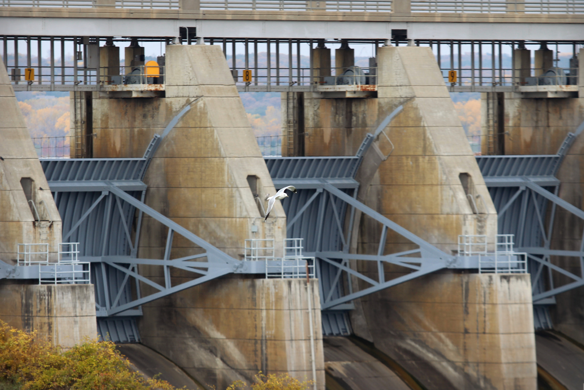 Canon EF 70-200mm F2.8L USM sample photo. Fall flight over the dam photography