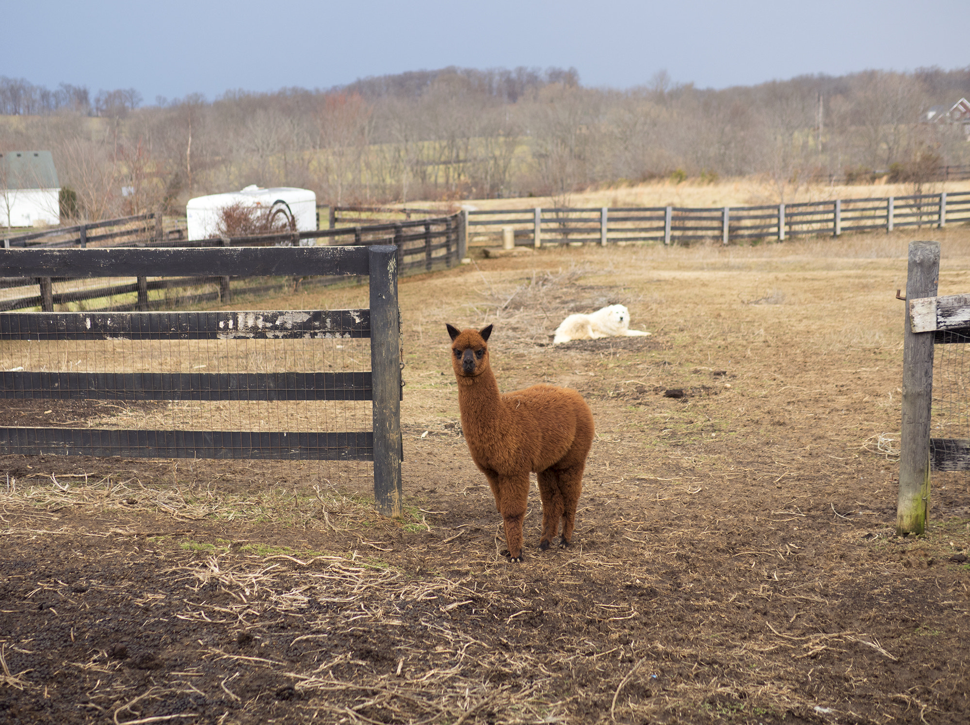 Olympus OM-D E-M5 II + Panasonic Leica DG Summilux 25mm F1.4 II ASPH sample photo. Finn photography