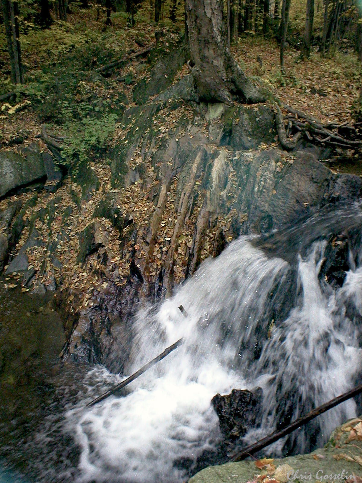 Olympus C120,D380 sample photo. Woodland stream, hopedale parklands massachusetts photography