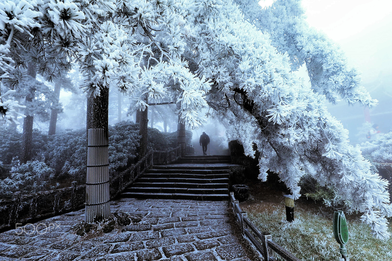 Canon EOS 5D Mark IV + Canon EF 16-35mm F2.8L III USM sample photo. Day 3 : rime in mount huangshan. photography