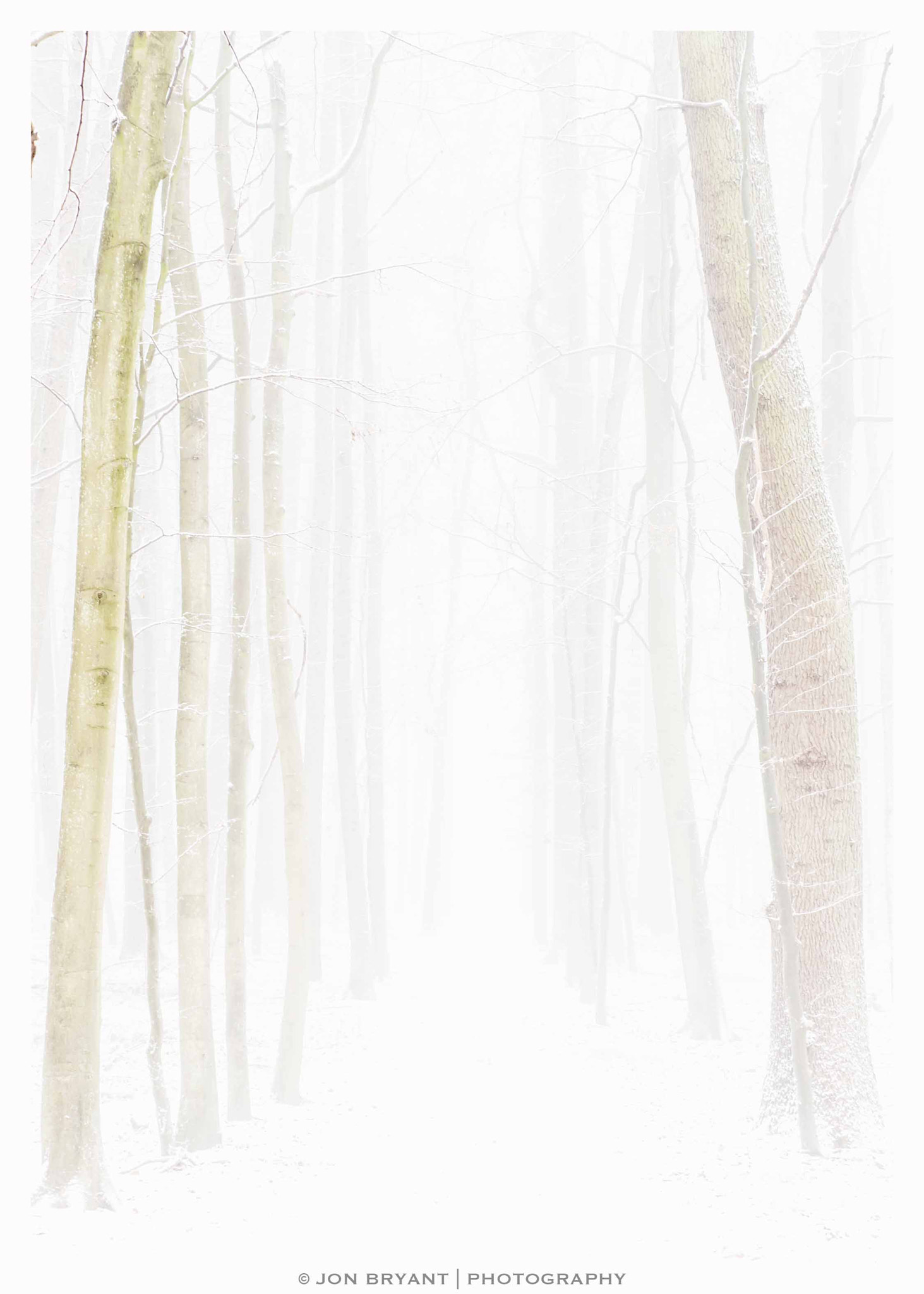 Panasonic Lumix G X Vario 35-100mm F2.8 OIS sample photo. Winter's path photography