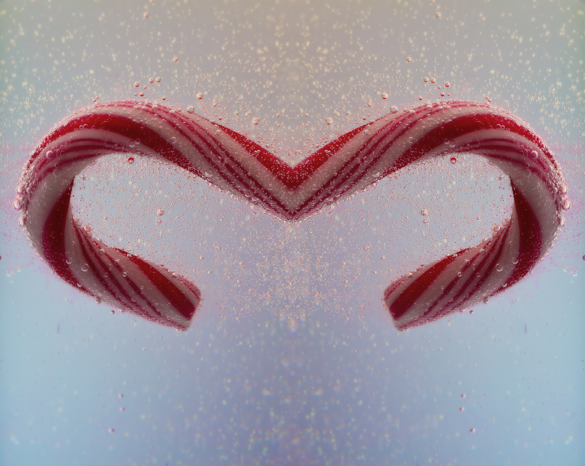 Canon EOS 6D + Tamron SP AF 90mm F2.8 Di Macro sample photo. Heart photography