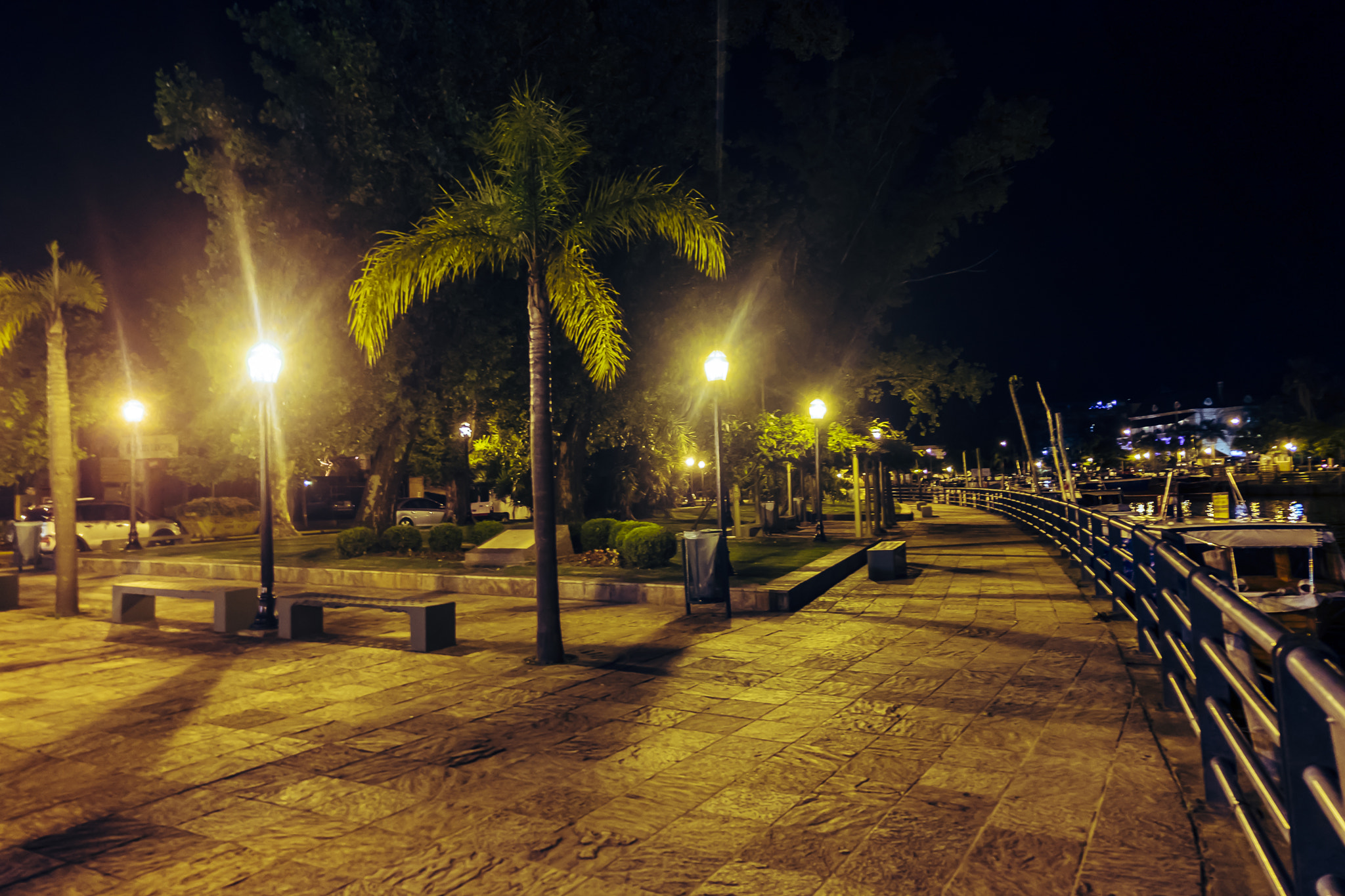 Fujifilm XC 16-50mm F3.5-5.6 OIS sample photo. El tigre ll photography