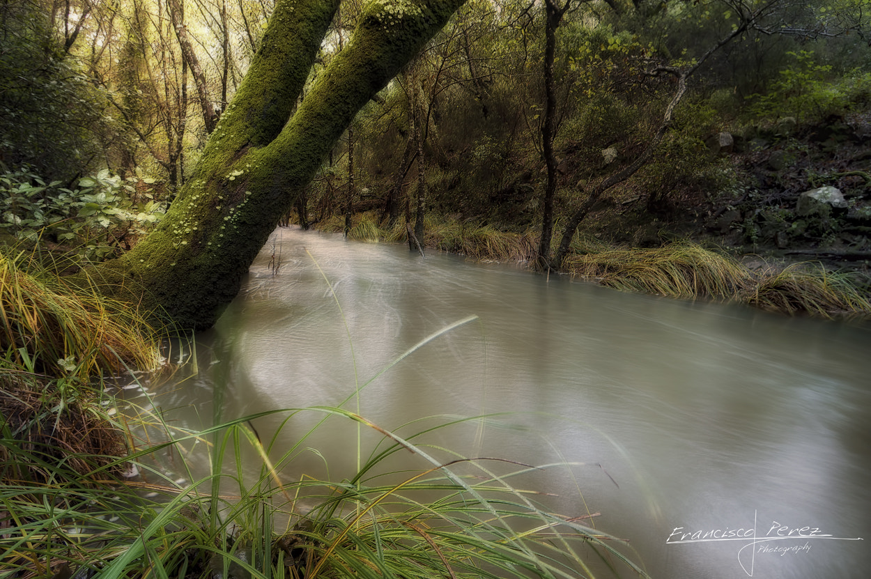 Pentax smc DA 14mm F2.8 ED (IF) sample photo. Valdeinfierno photography