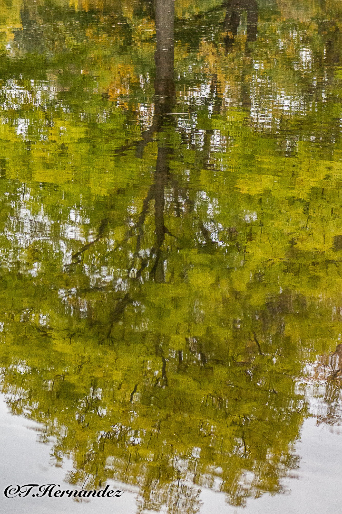 Canon EF 75-300mm f/4-5.6 USM sample photo. Reflection perspective photography