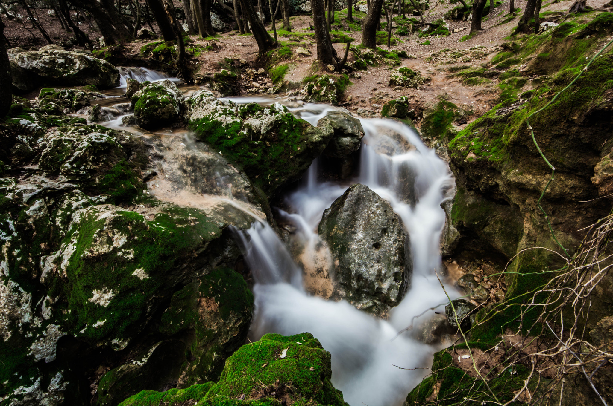 Sigma 8-16mm F4.5-5.6 DC HSM sample photo. Salt des freu, mallorca photography