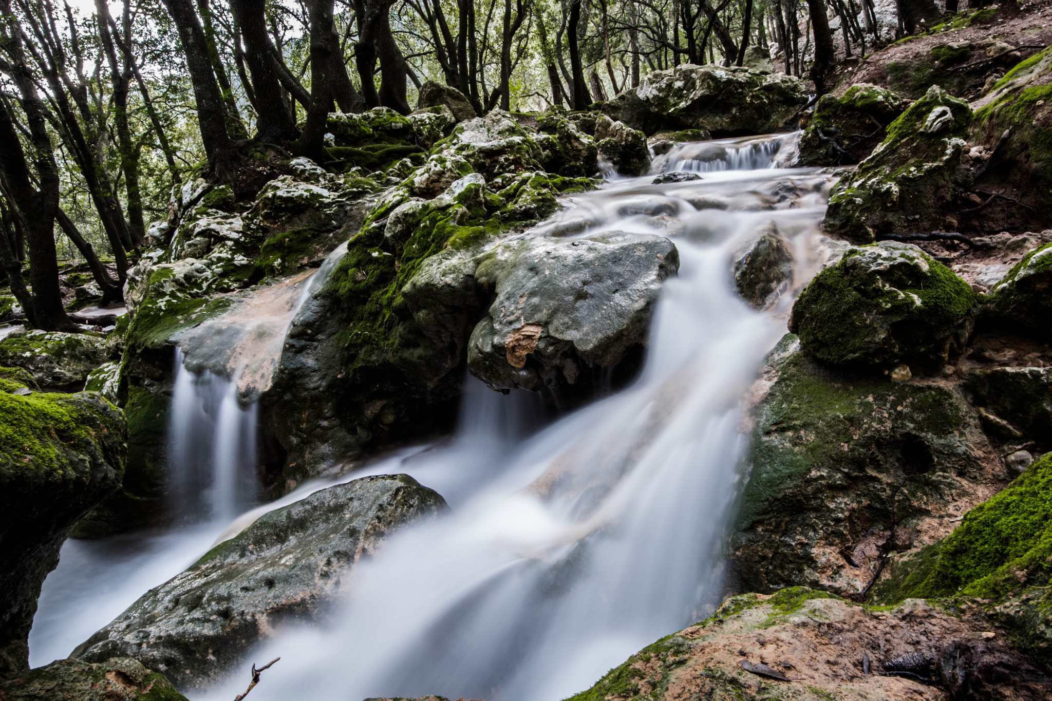 Sigma 8-16mm F4.5-5.6 DC HSM sample photo. Orient mallorca photography