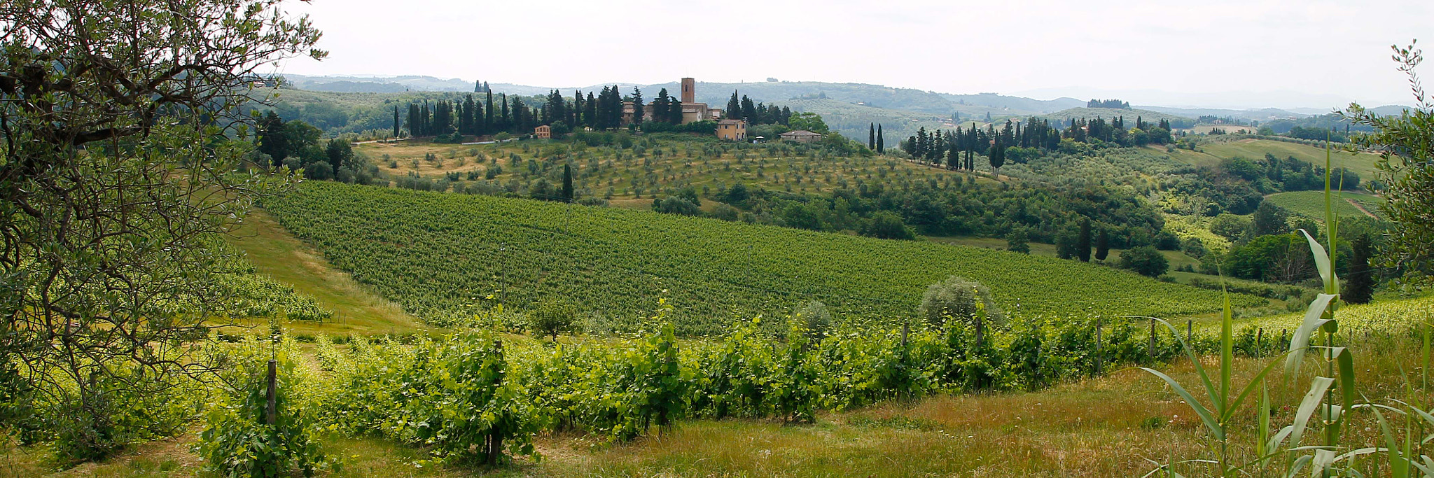 Tamron SP AF 17-50mm F2.8 XR Di II LD Aspherical (IF) sample photo. Tuscany landscape at spring photography