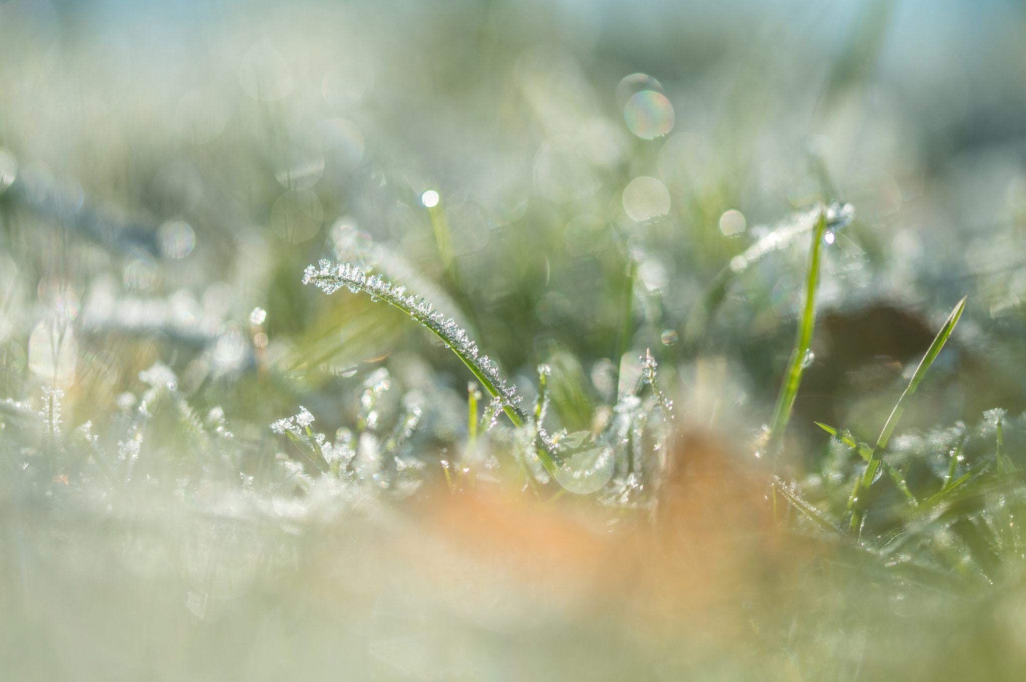 Sigma 105mm F2.8 EX DG OS HSM sample photo. Jg photography
