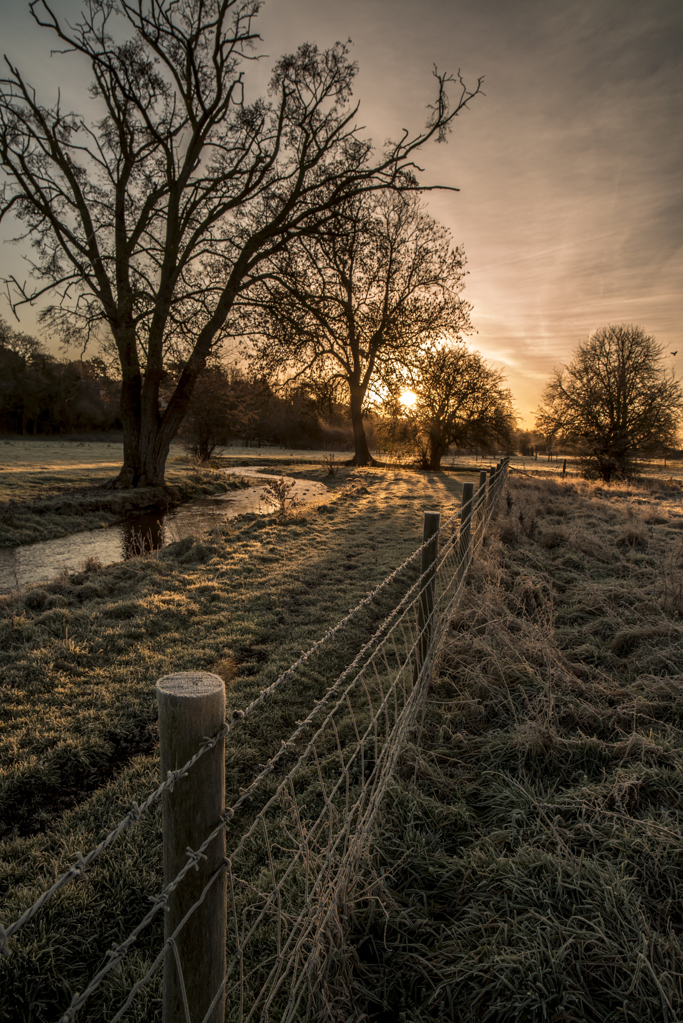 Nikon D800 sample photo. Chiltern dawn photography