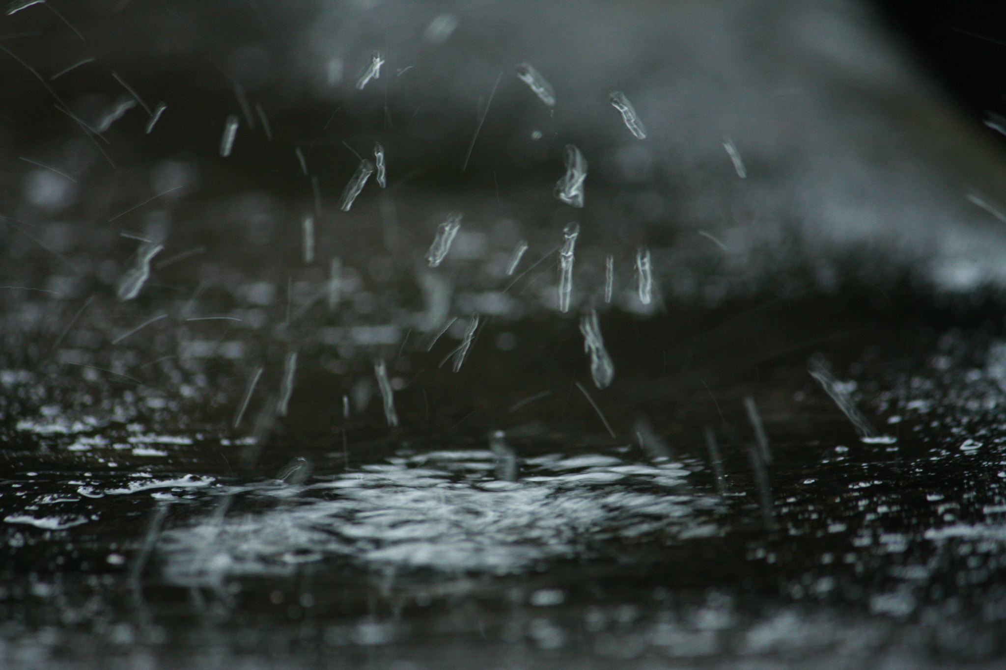 Canon EOS 40D sample photo. Blunderr photography